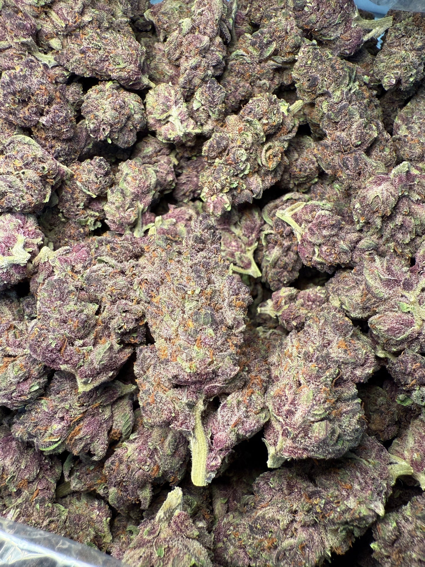 1 Pound - AAA Purple Tropicanna Cherries THCA Frisco Labs