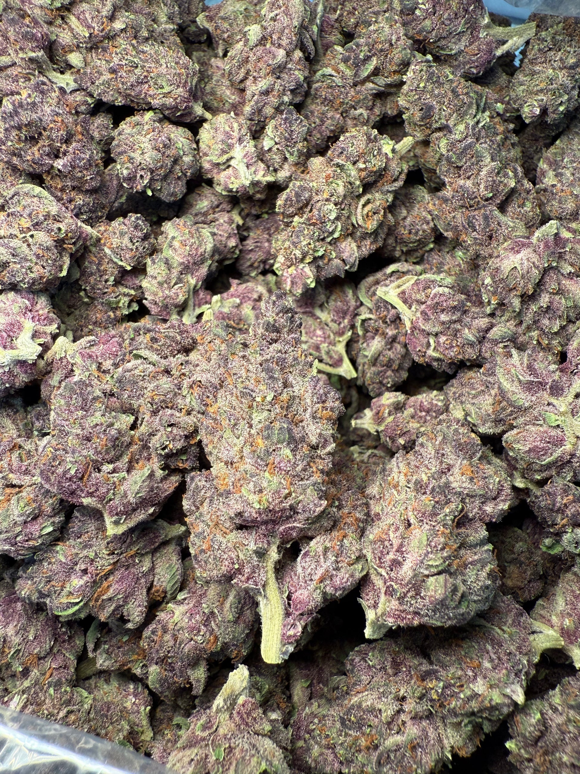 1 Pound - AAA Purple Tropicanna Cherries THCA Frisco Labs