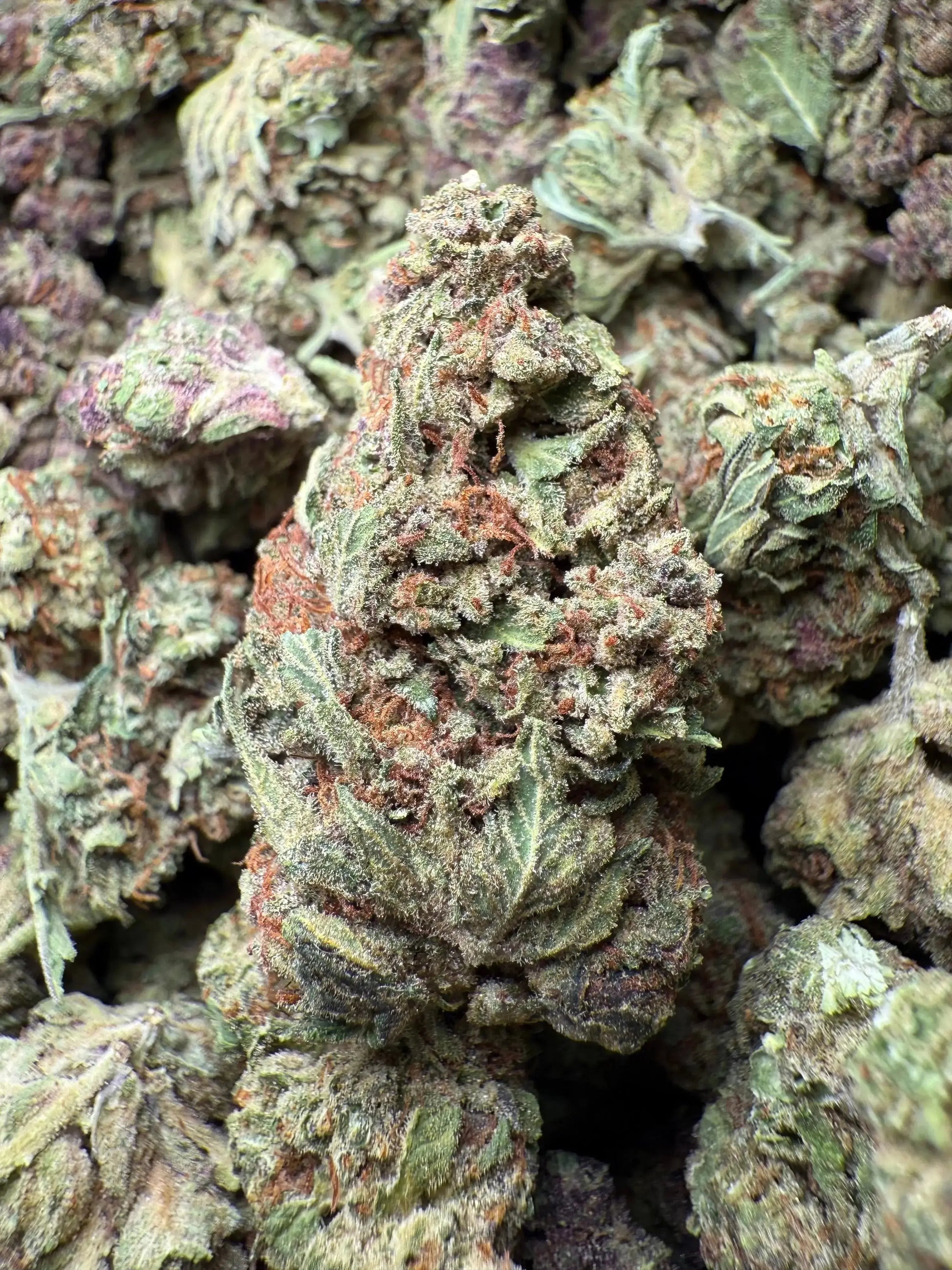 1 Pound Black Afghan THCA FL Fulfillment Center