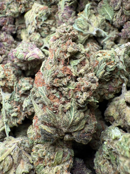 1 Pound Black Afghan THCA FL Fulfillment Center