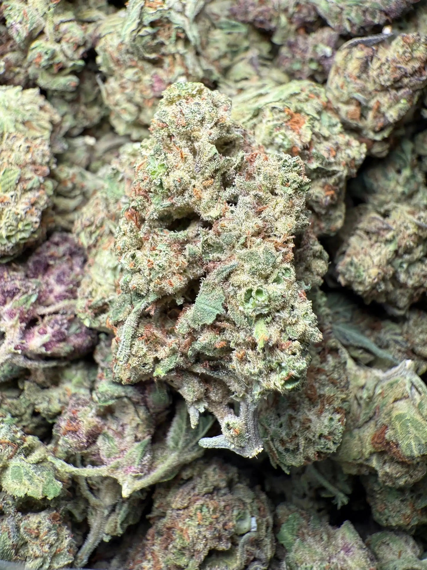 1 Pound Black Afghan THCA FL Fulfillment Center