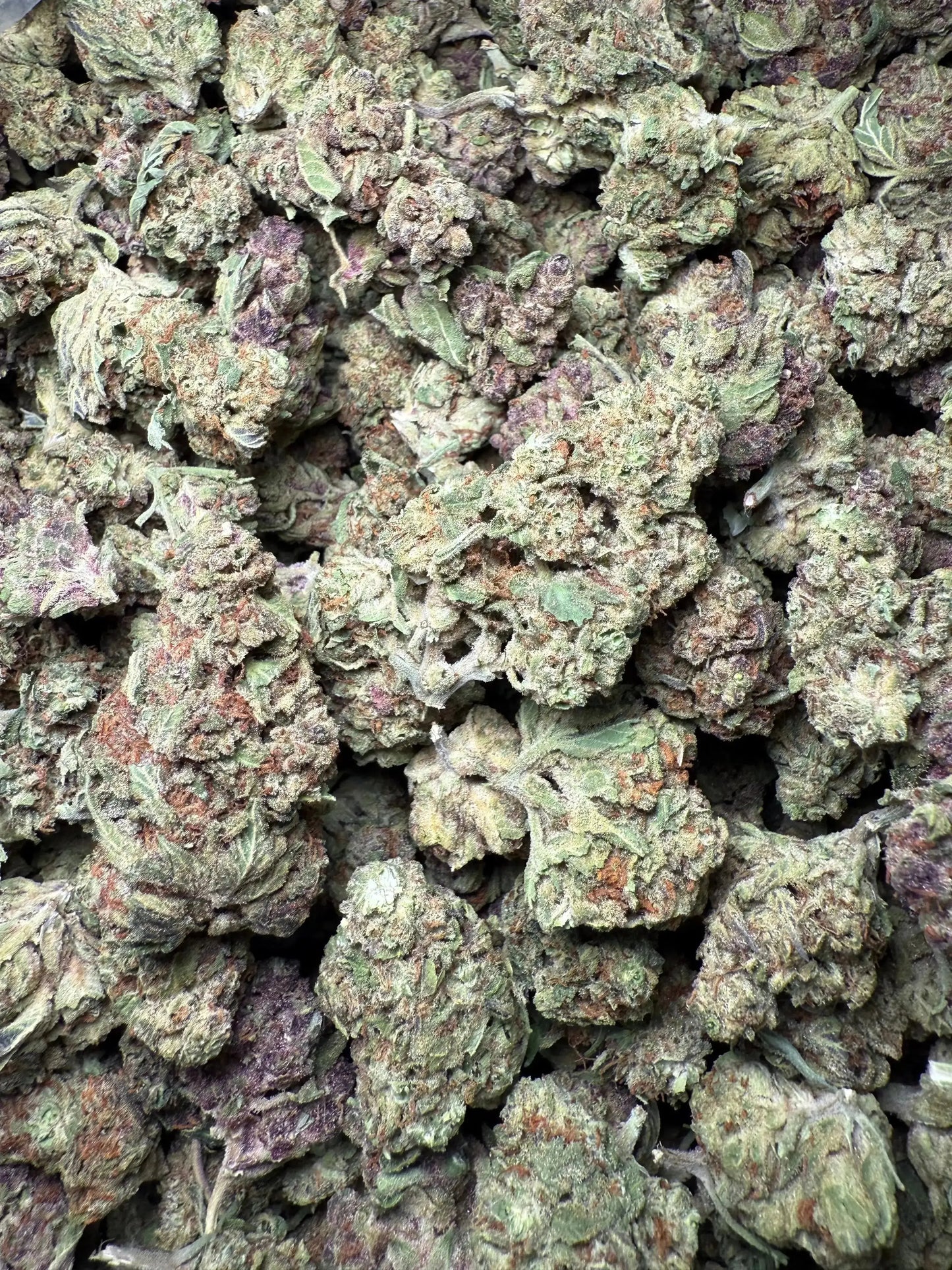 1 Pound Black Afghan THCA FL Fulfillment Center