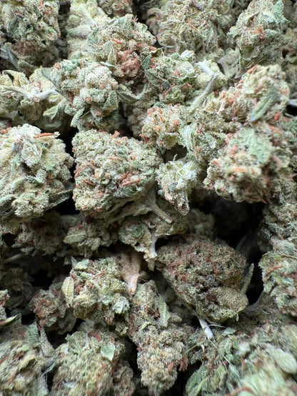 1 Pound Black Bananas THCA (Small) FL Fulfillment Center