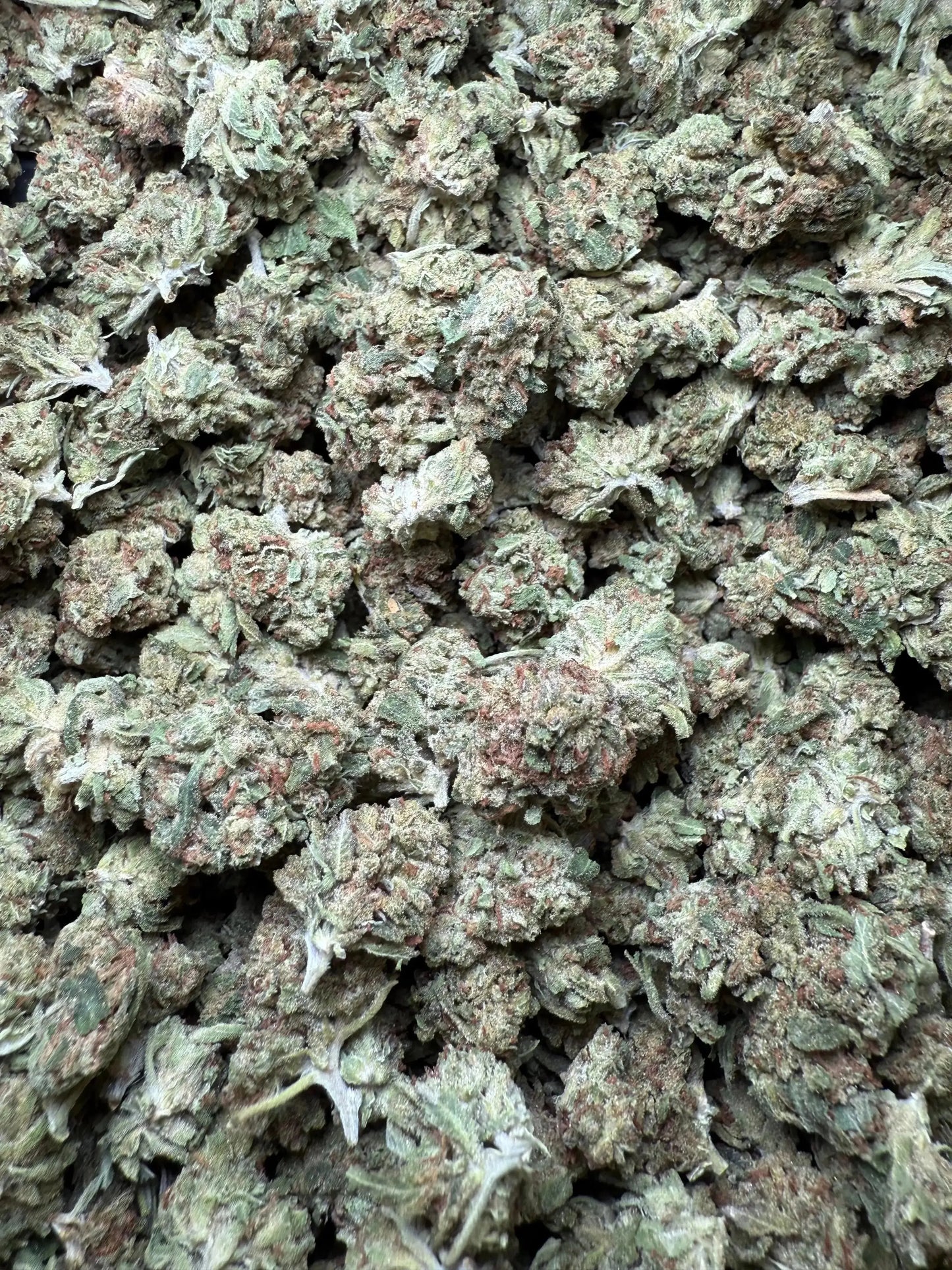 1 Pound Black Bananas THCA (Small) FL Fulfillment Center