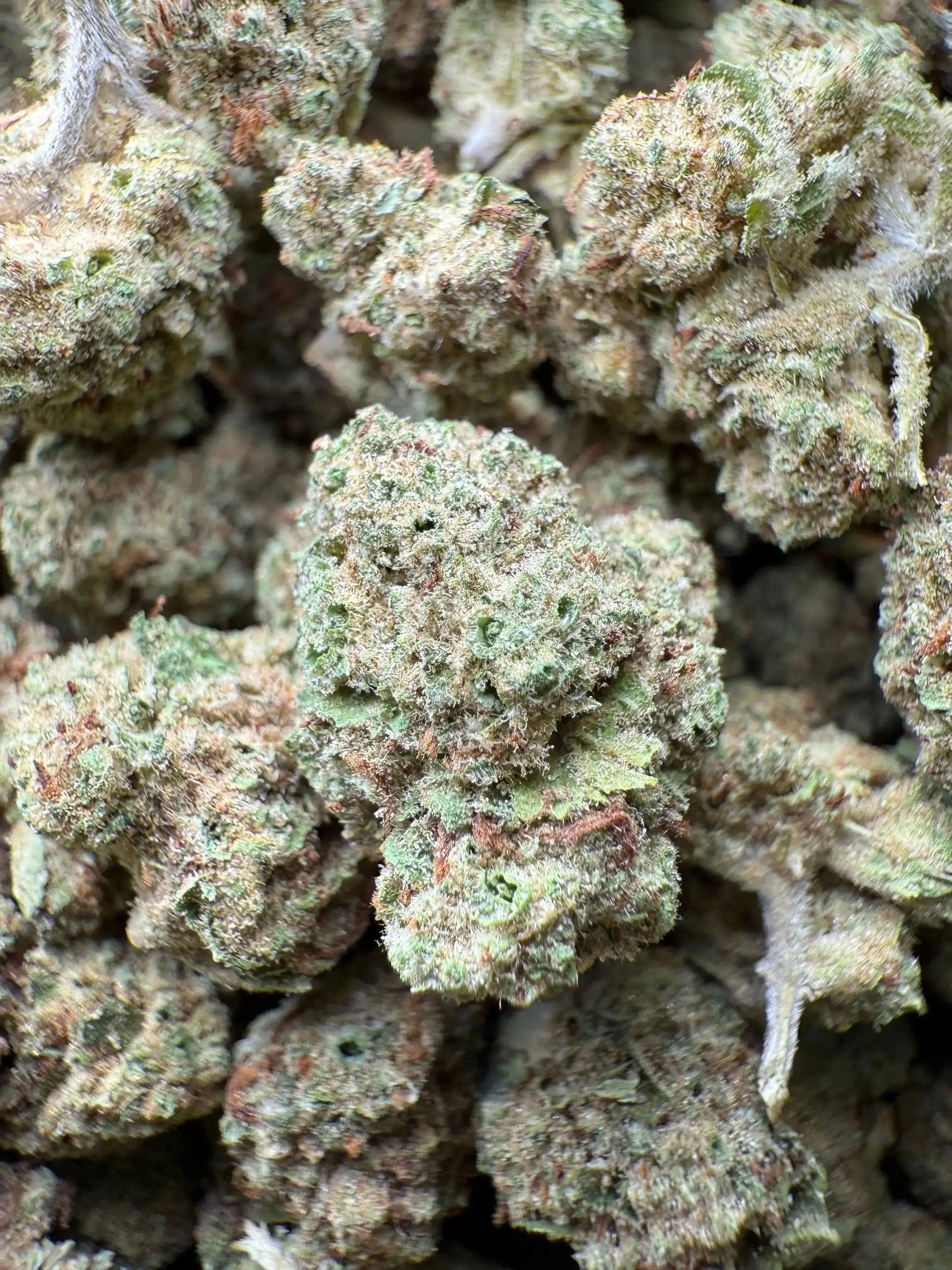 1 Pound Black Widow THCA Small FL Fulfillment Center