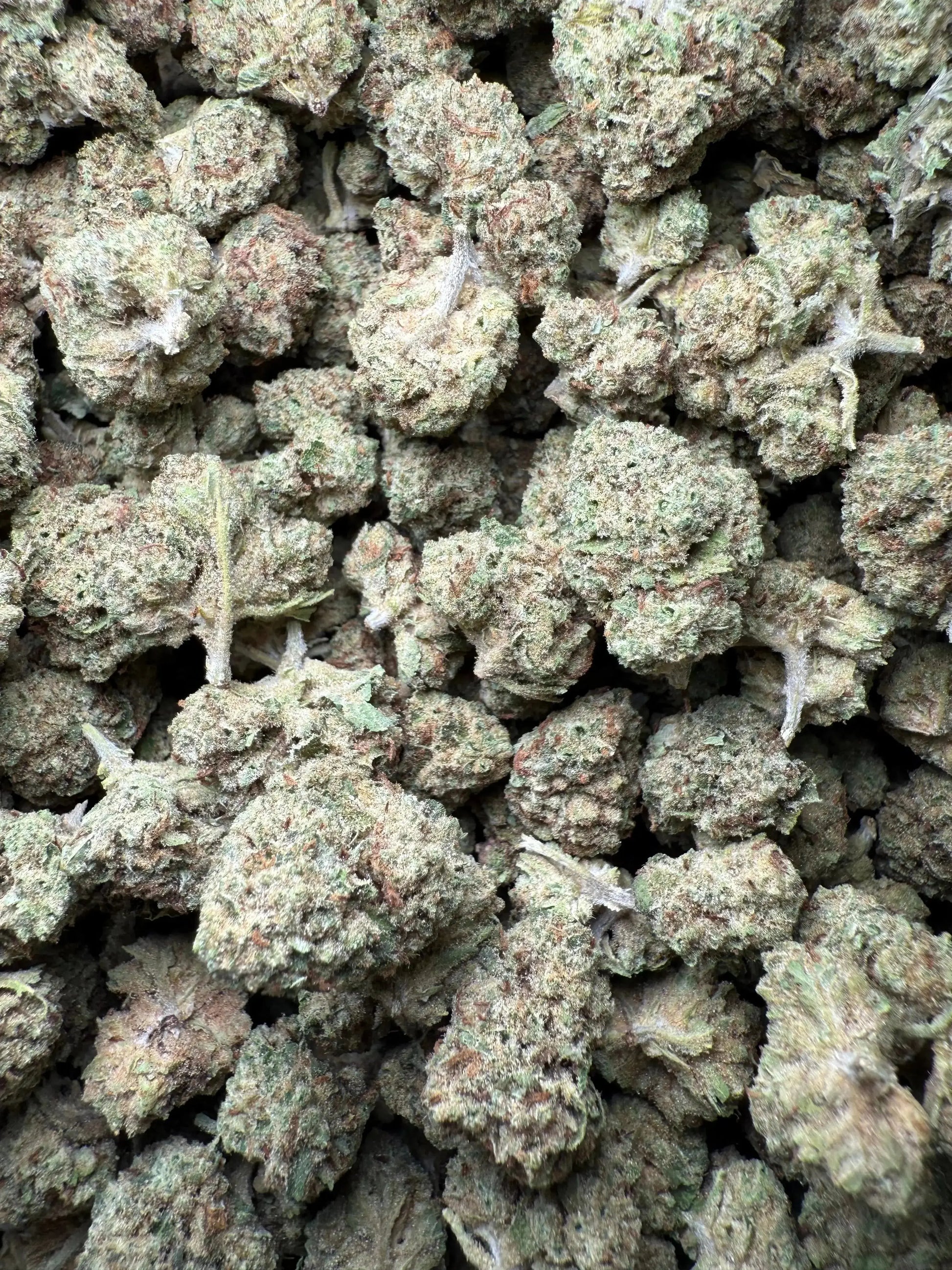 1 Pound Black Widow THCA Small FL Fulfillment Center