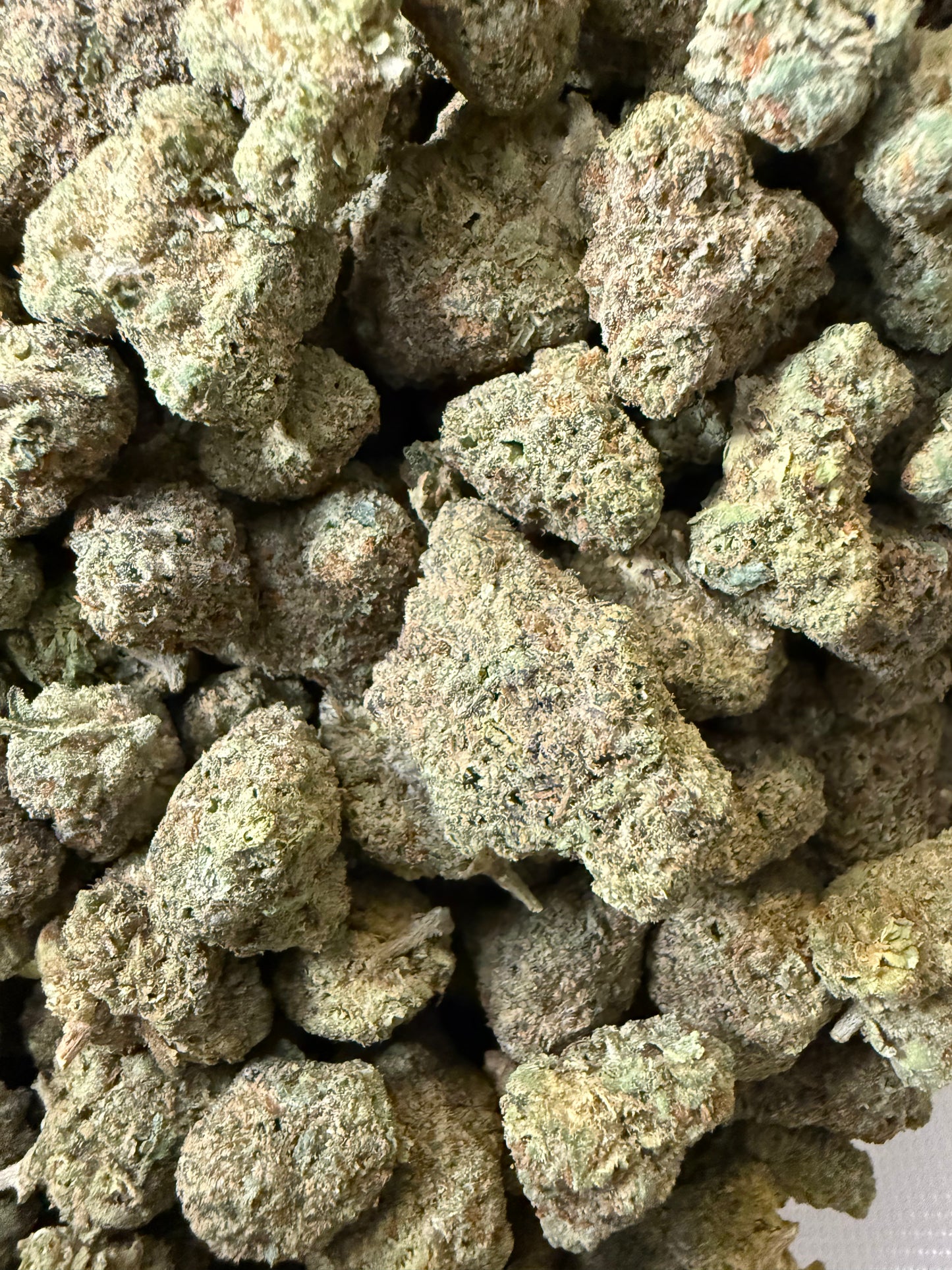 1 Pound - AA Blue Candyz Gelato THCA Frisco Labs