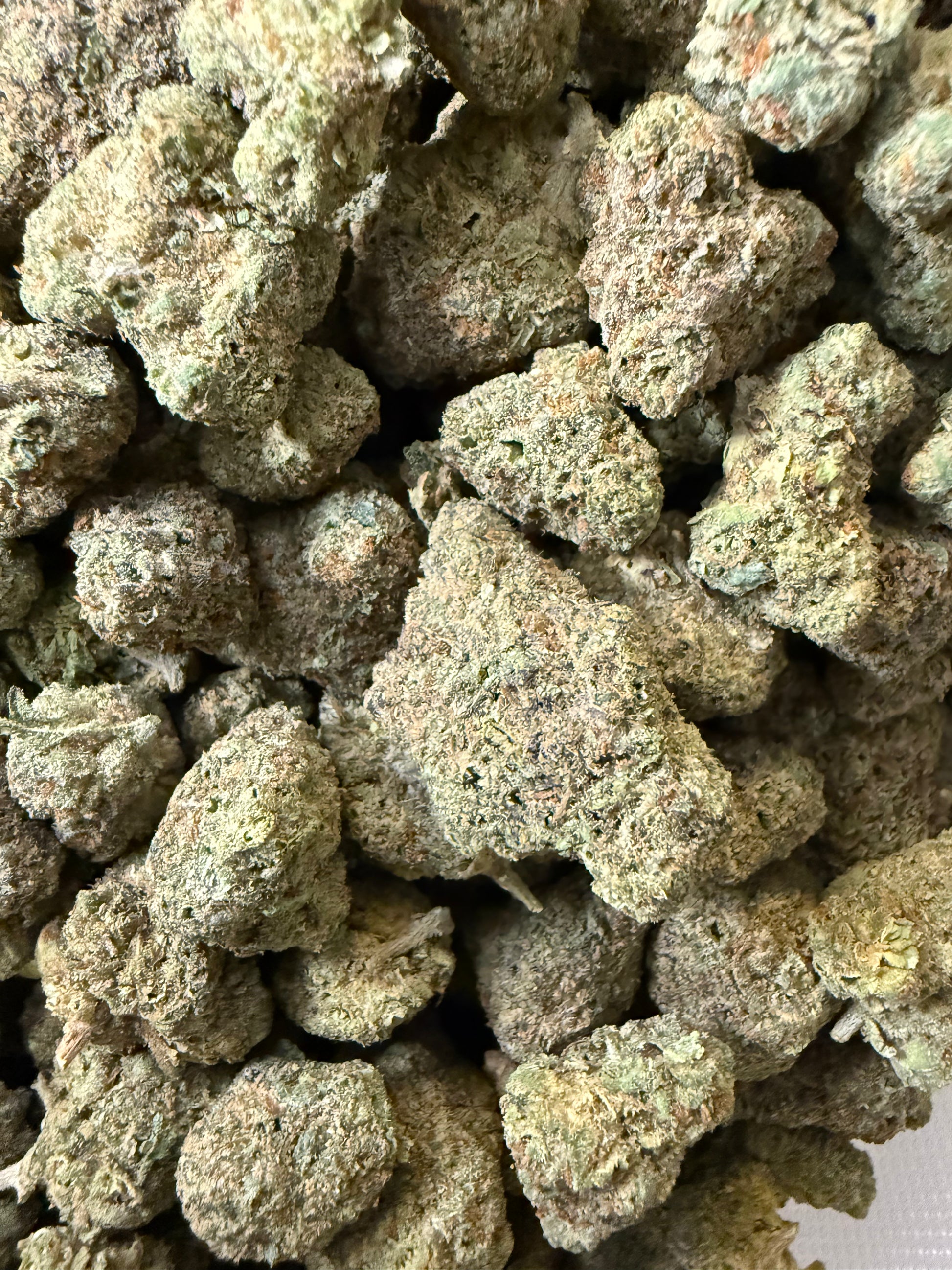 1 Pound - AA Blue Candyz Gelato THCA Frisco Labs