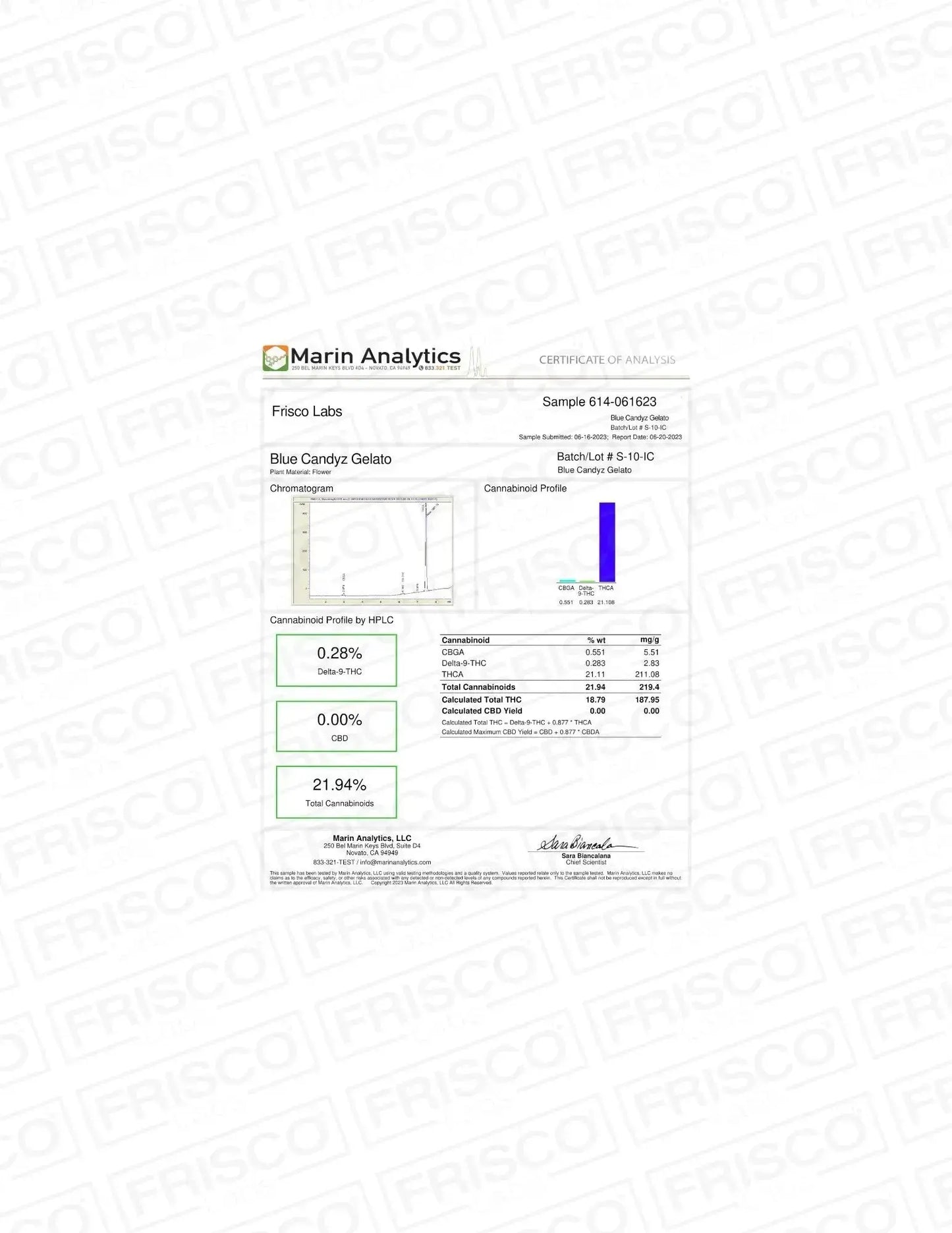 Frisco Labs - Exotic Indoor Blue Candyz Gelato THCA Strain Frisco Labs