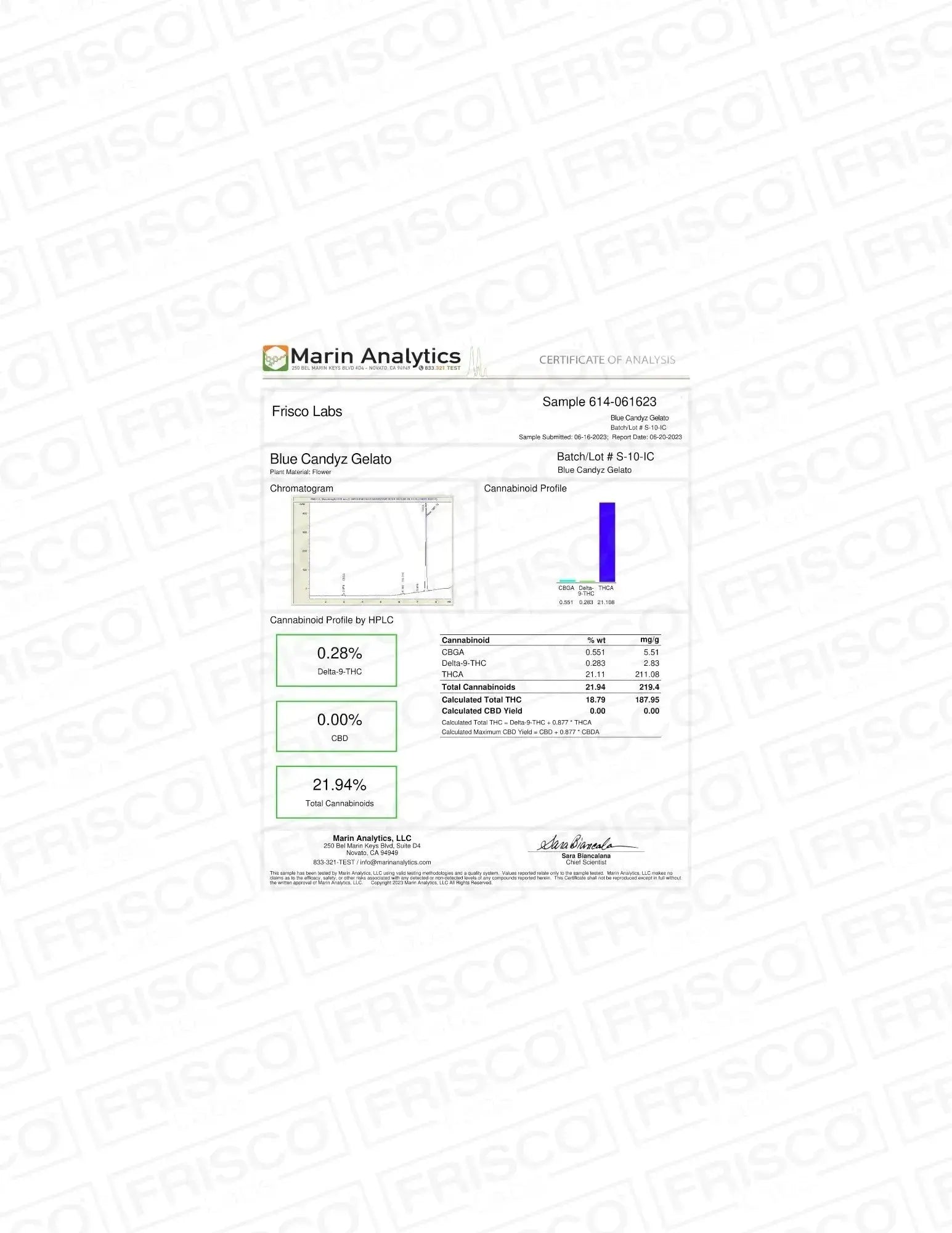 Frisco Labs - Exotic Indoor Blue Candyz Gelato THCA Strain Frisco Labs