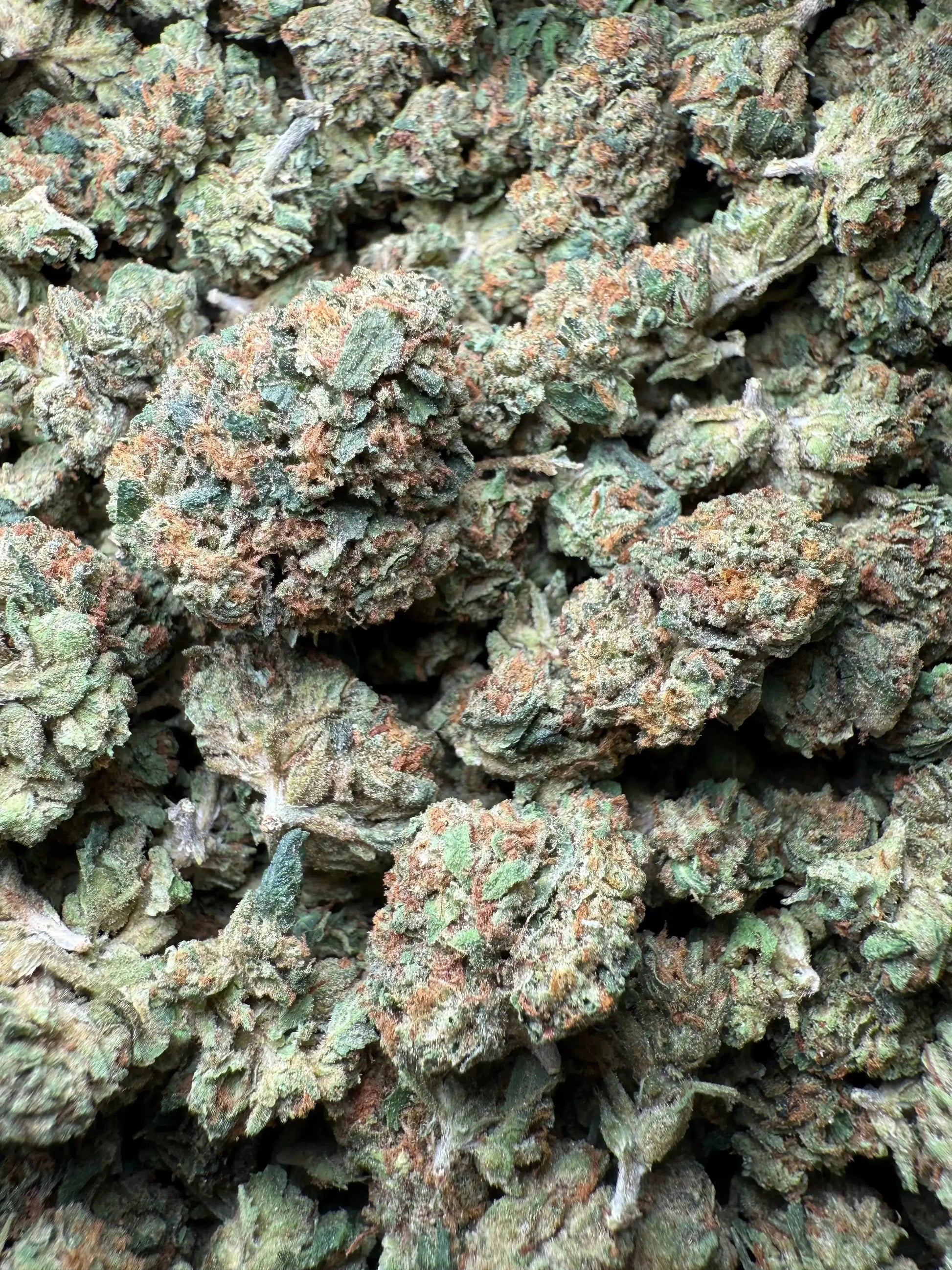 1 Pound El Chapo OG THCA (Small) FL Fulfillment Center