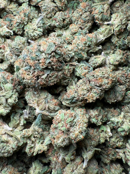 1 Pound El Chapo OG THCA (Small) FL Fulfillment Center