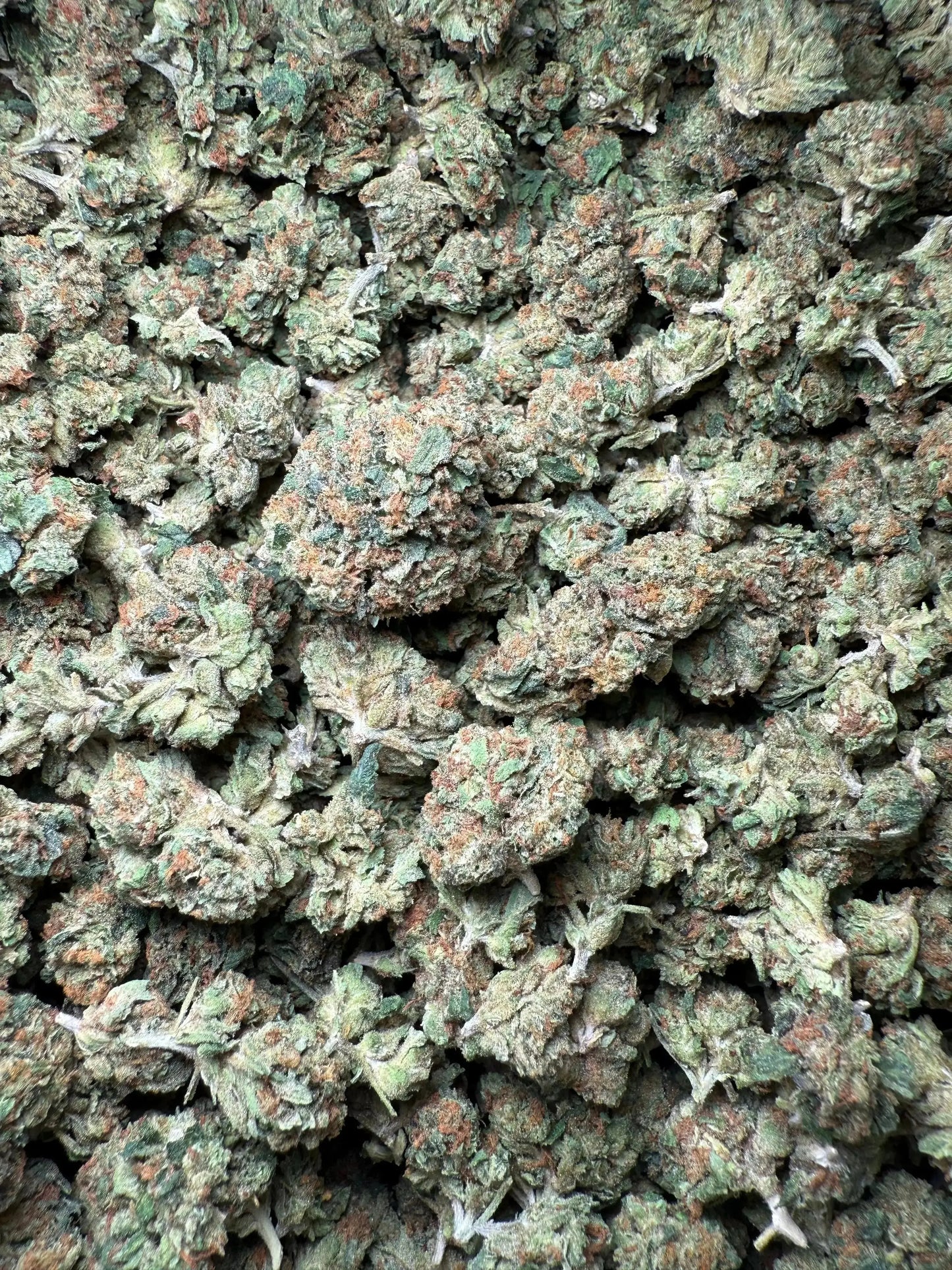 1 Pound El Chapo OG THCA (Small) FL Fulfillment Center