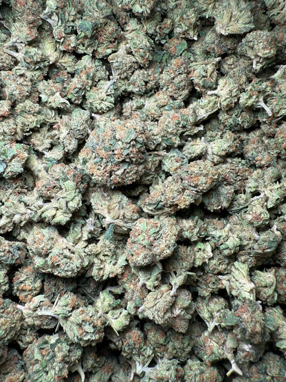 1 Pound El Chapo OG THCA (Small) FL Fulfillment Center