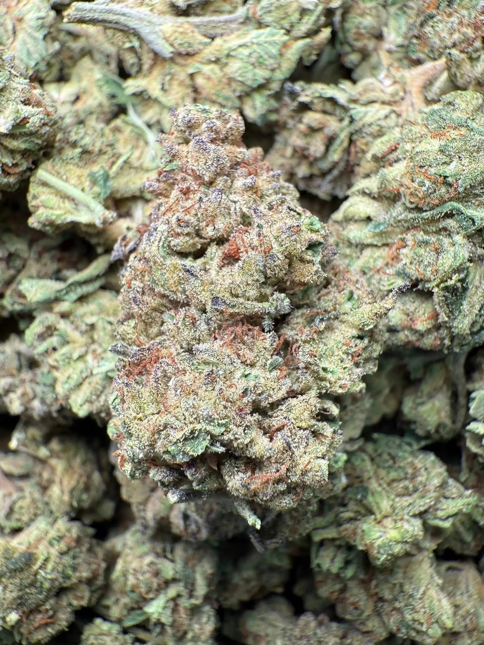 1 Pound Exotic Colour THCA FL Fulfillment Center