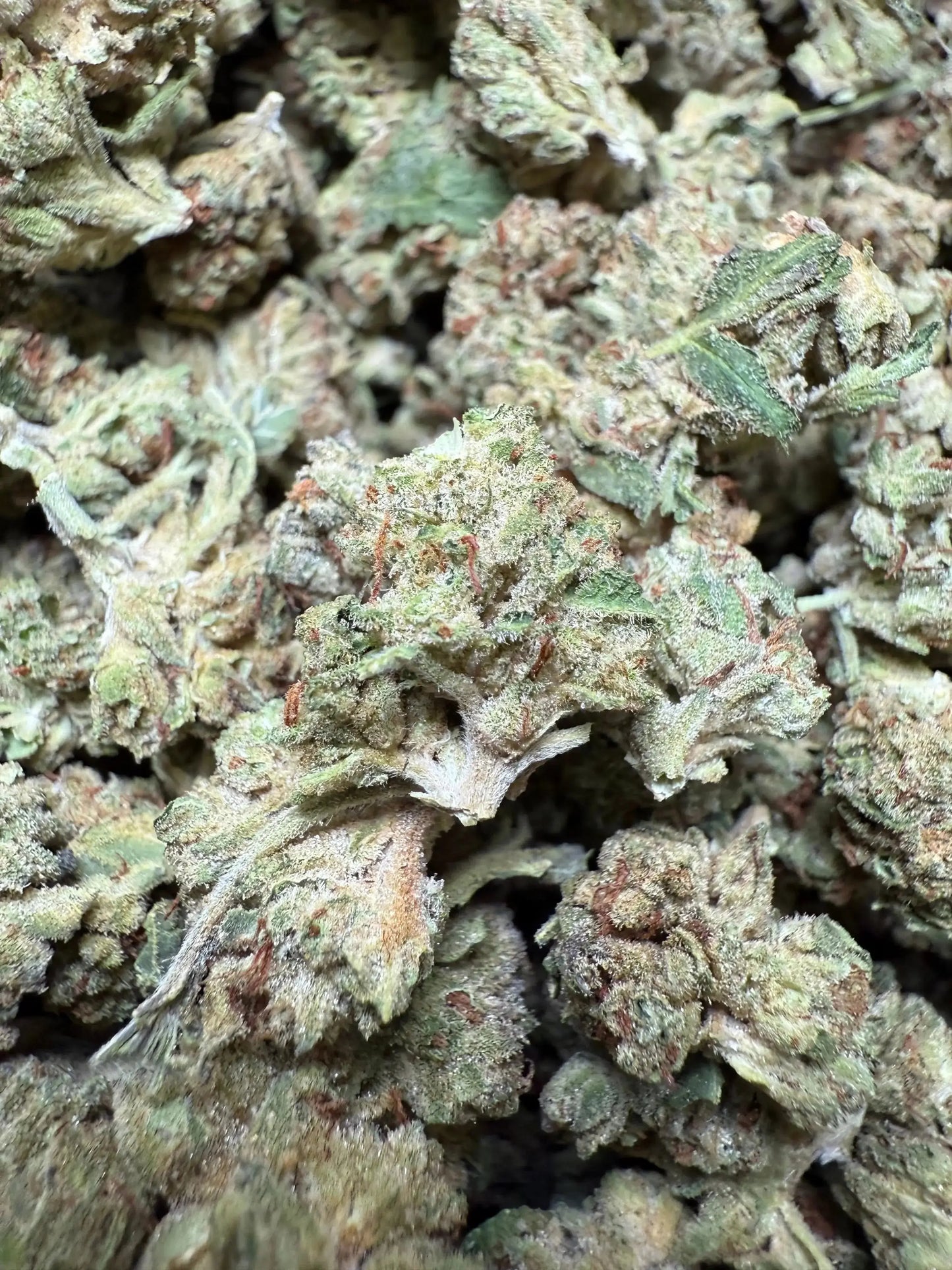 1 Pound Exotic Colour THCA (Small) FL Fulfillment Center