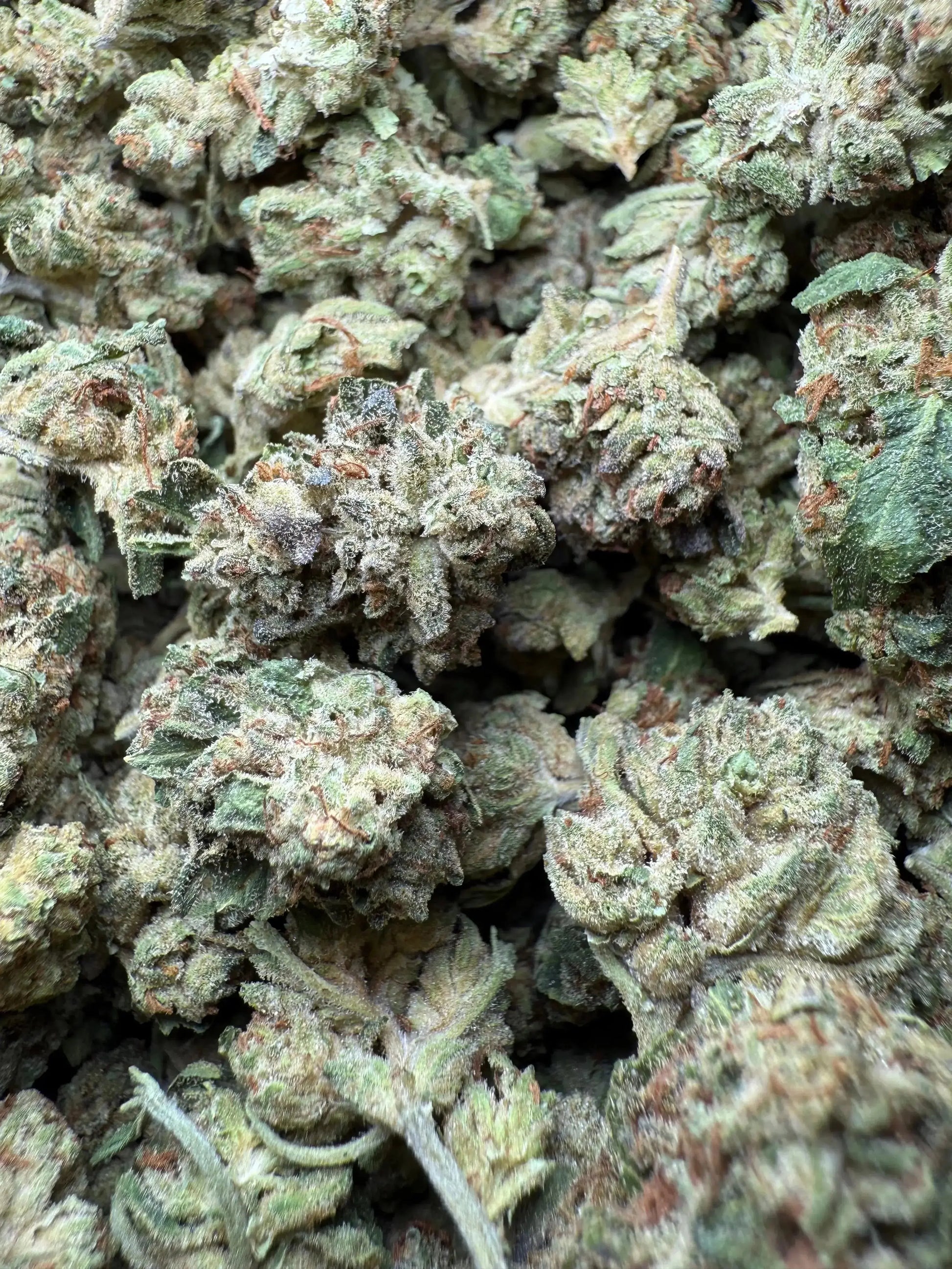 1 Pound Exotic Colour THCA (Small) FL Fulfillment Center