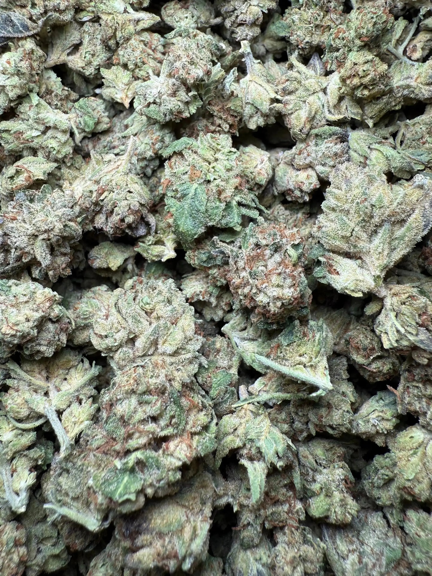 1 Pound Exotic Colour THCA (Small) FL Fulfillment Center