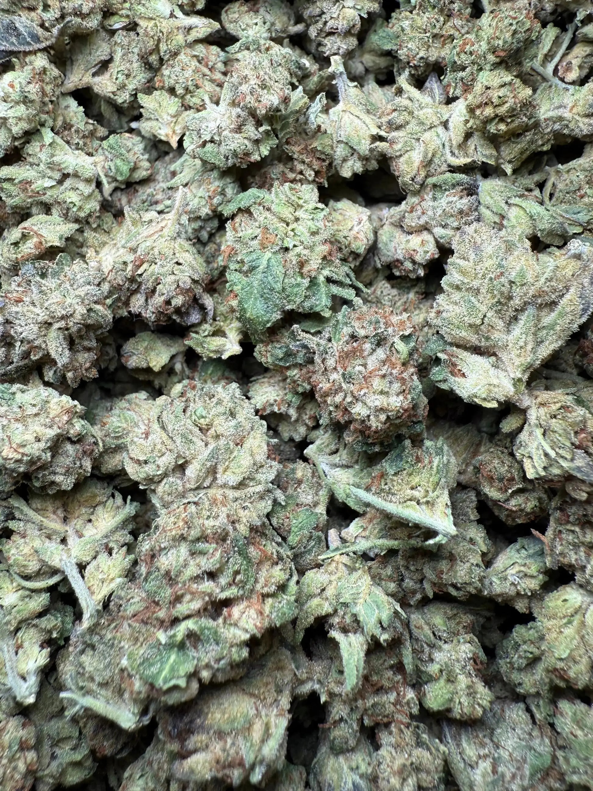 1 Pound Exotic Colour THCA (Small) FL Fulfillment Center