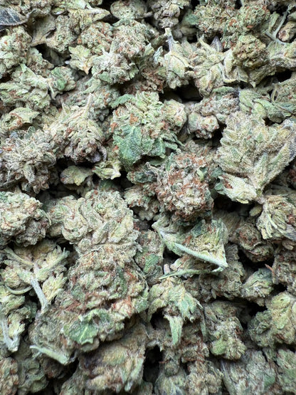 1 Pound Exotic Colour THCA (Small) FL Fulfillment Center