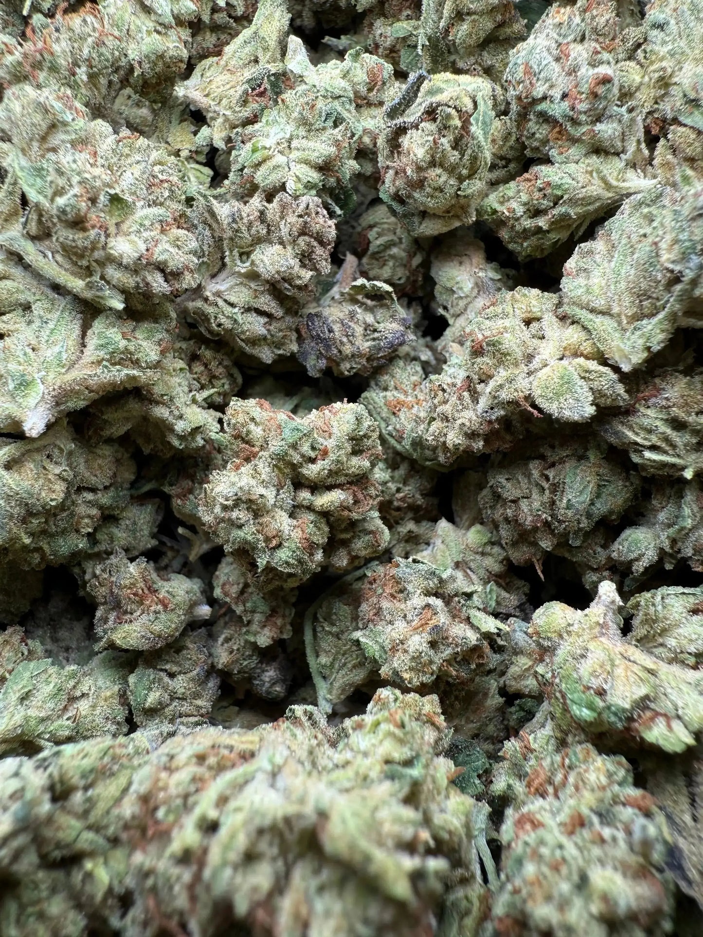 1 Pound Exotic Colour THCA (Small) FL Fulfillment Center