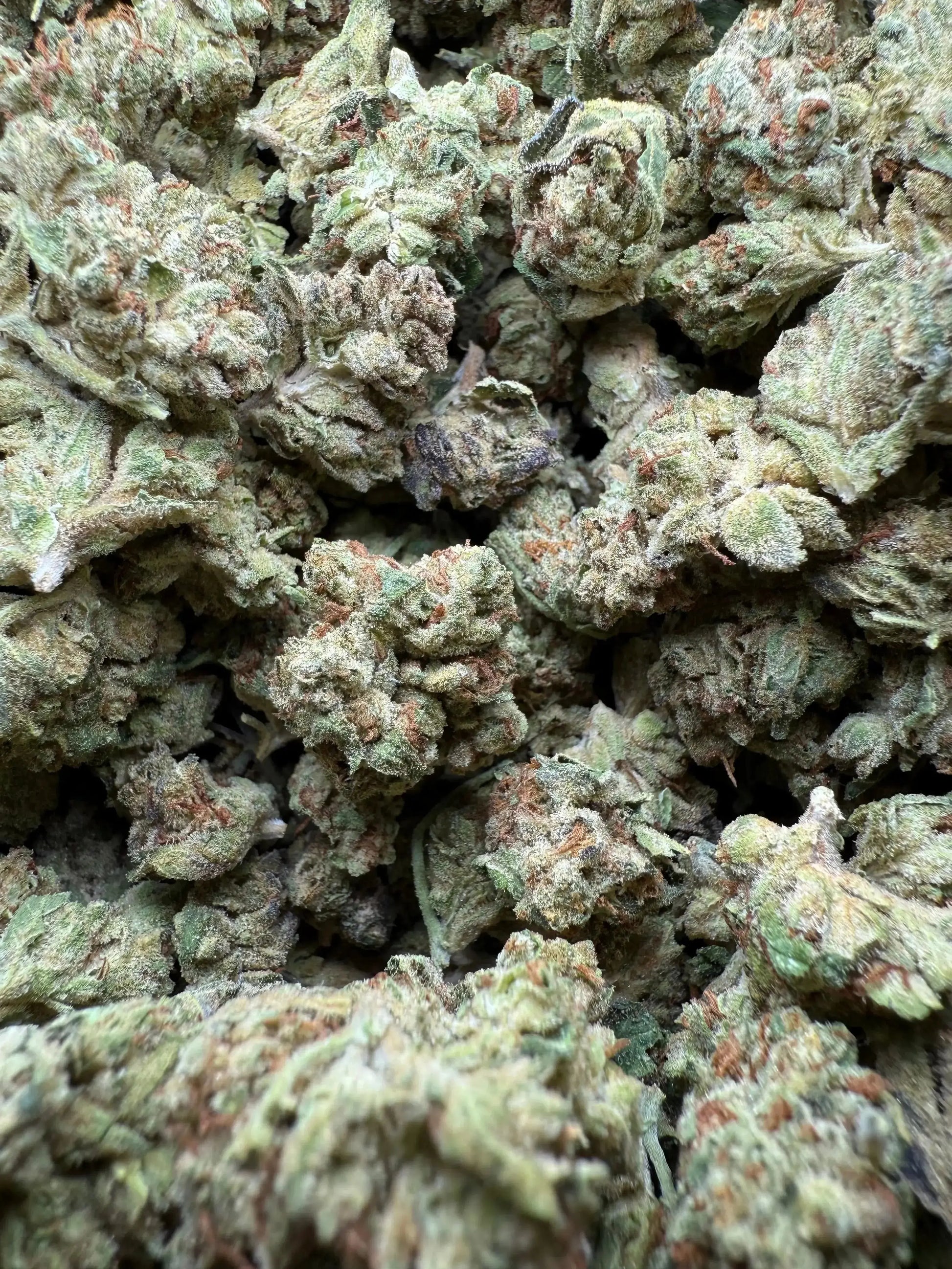 1 Pound Exotic Colour THCA (Small) FL Fulfillment Center