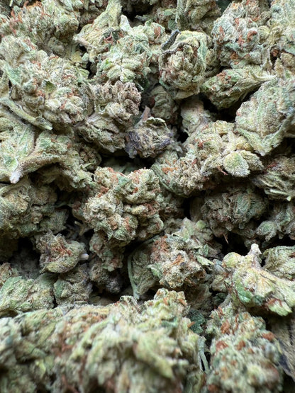 1 Pound Exotic Colour THCA (Small) FL Fulfillment Center