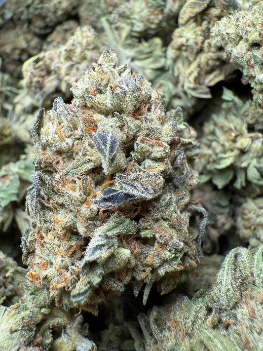 1 Pound Fat Boy OG THCA FL Fulfillment Center