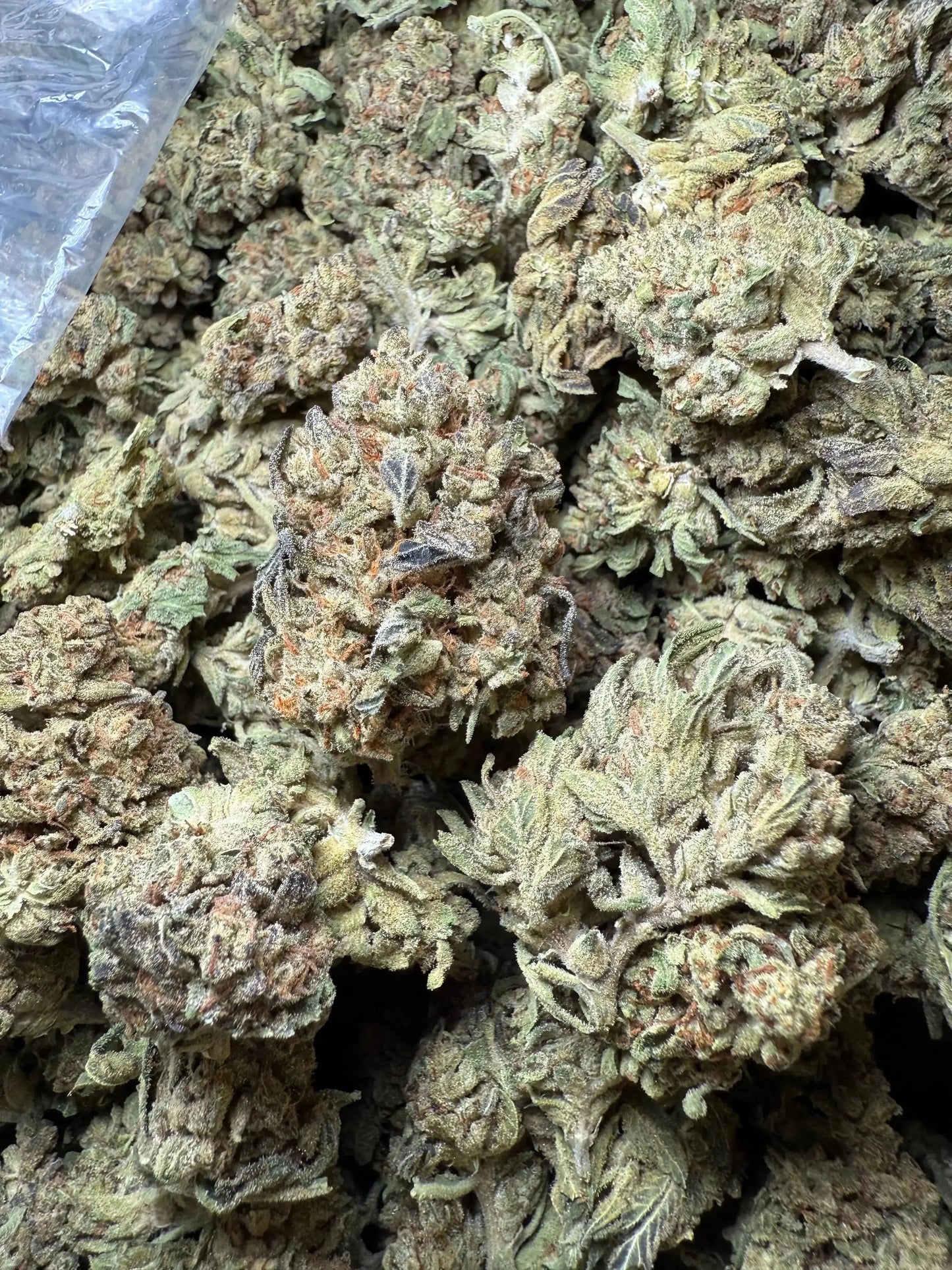 1 Pound Fat Boy OG THCA FL Fulfillment Center