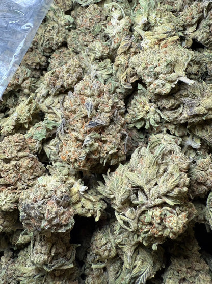 1 Pound Fat Boy OG THCA FL Fulfillment Center