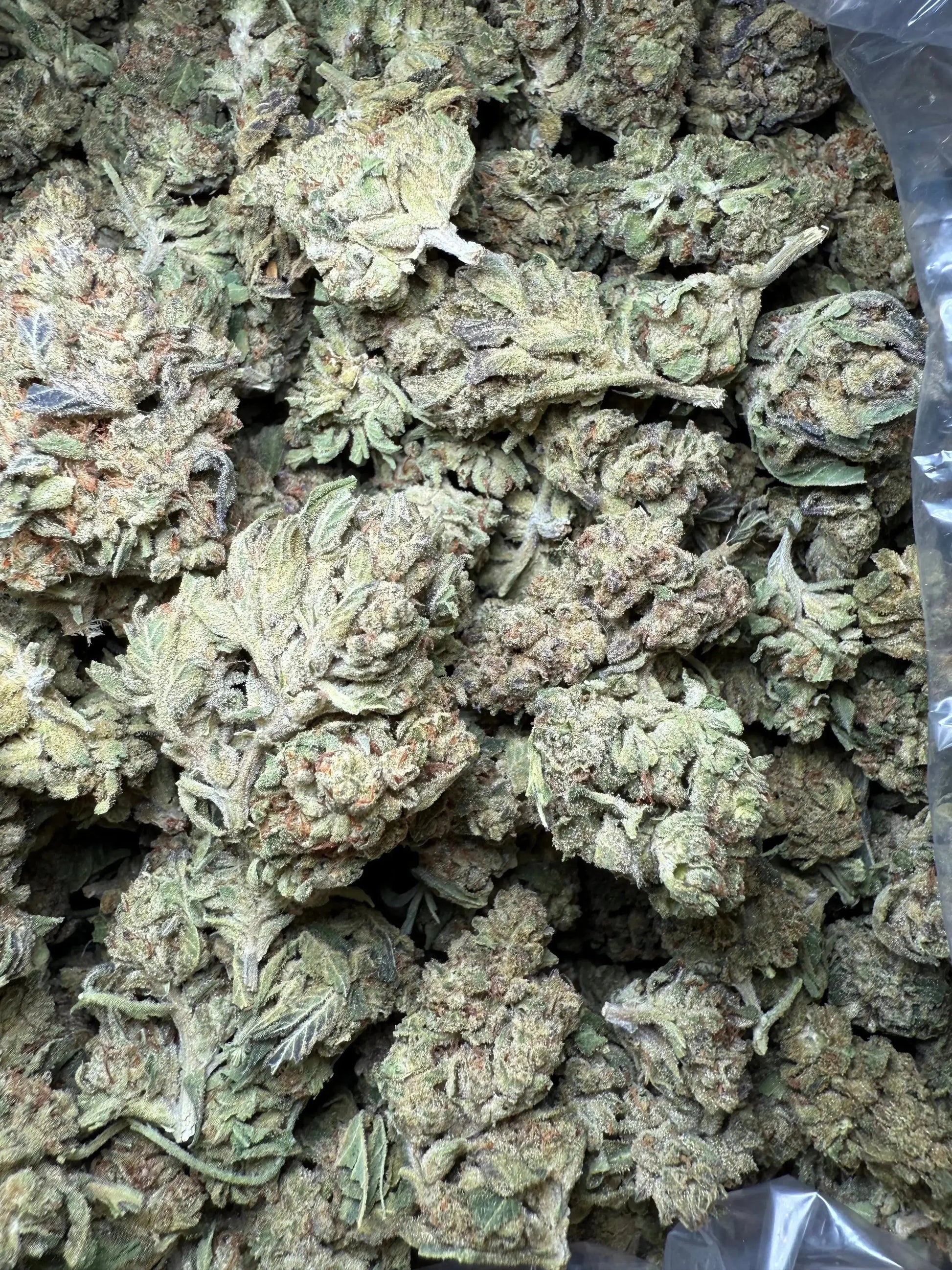 1 Pound Fat Boy OG THCA FL Fulfillment Center