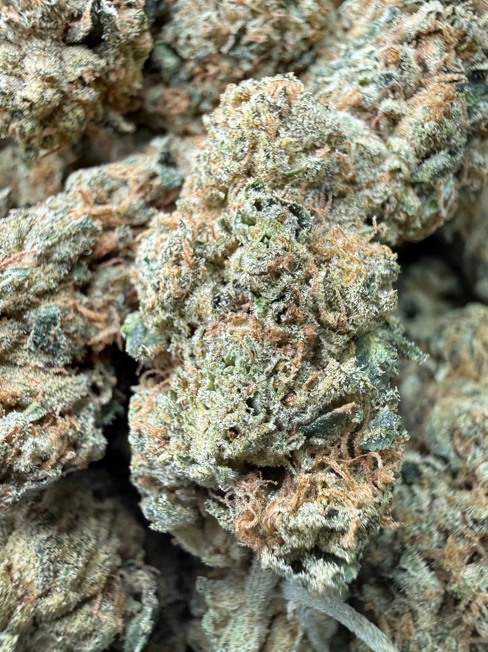 1 Pound - Gorilla Glue THCA Strain Frisco Labs
