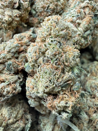 1 Pound - Gorilla Glue THCA Strain Frisco Labs