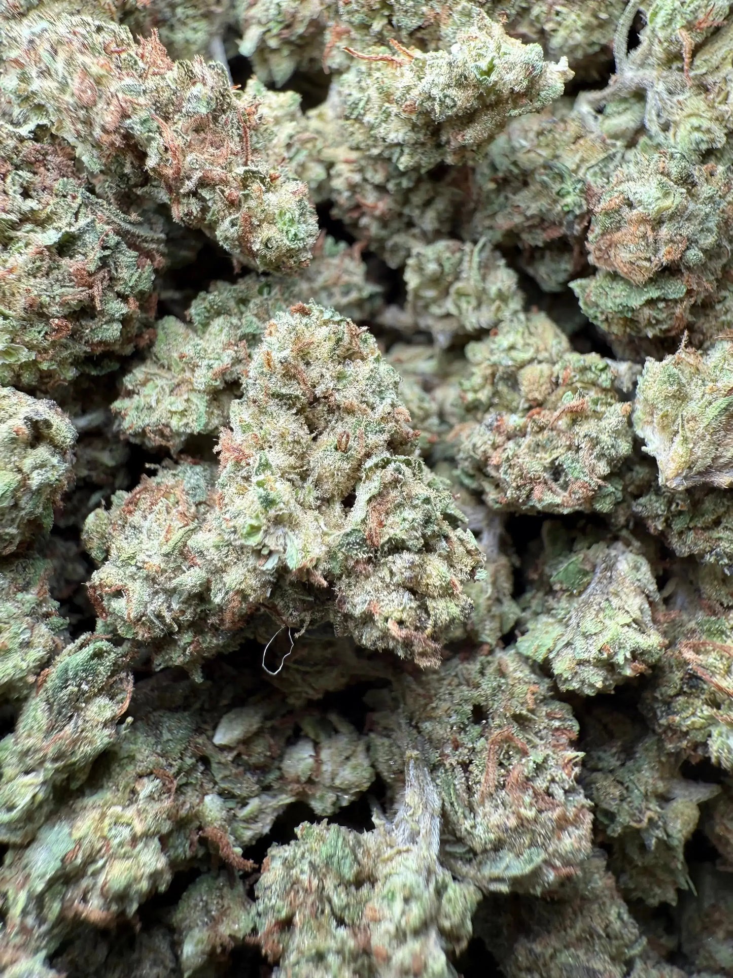 1 Pound Han Solo THCA (Smalls) FL Fulfillment Center