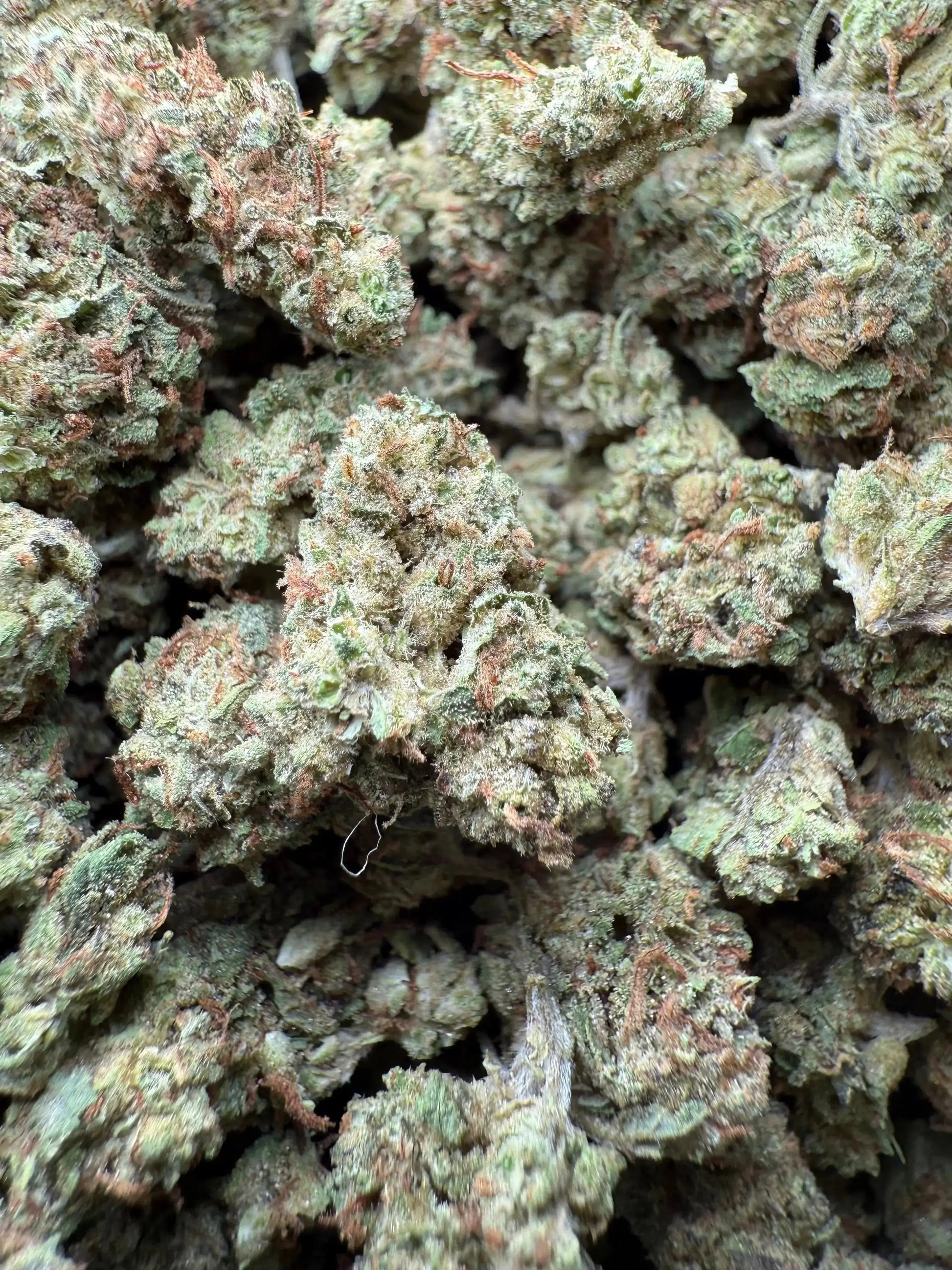 1 Pound Han Solo THCA (Smalls) FL Fulfillment Center