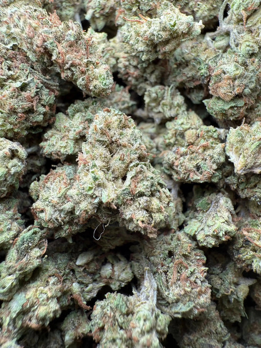 1 Pound Han Solo THCA (Smalls) FL Fulfillment Center