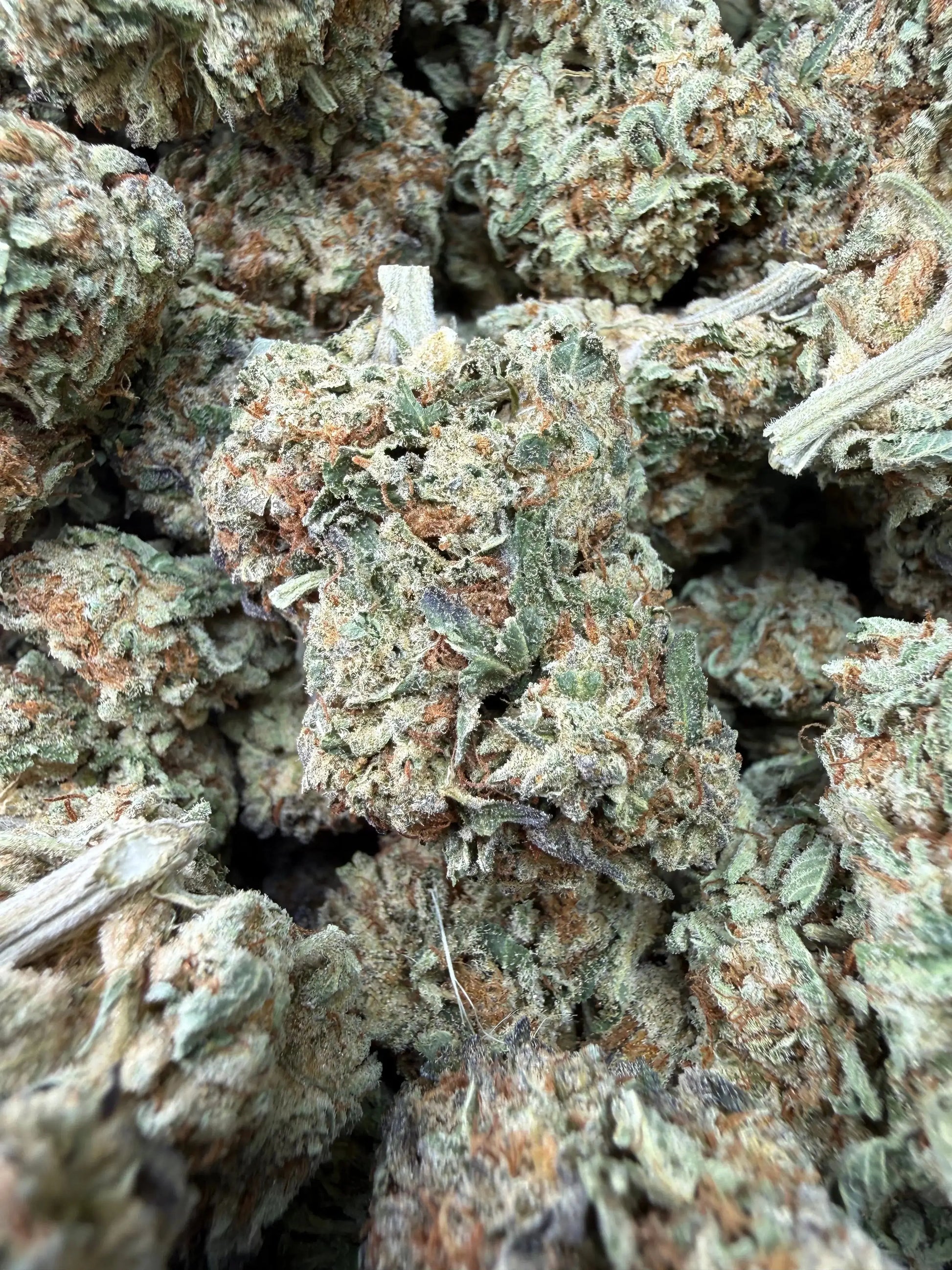 1/4 Pound -   Lemon Cake THCA Strain Frisco Labs