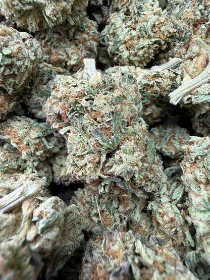 1/4 Pound -   Lemon Cake THCA Strain Frisco Labs