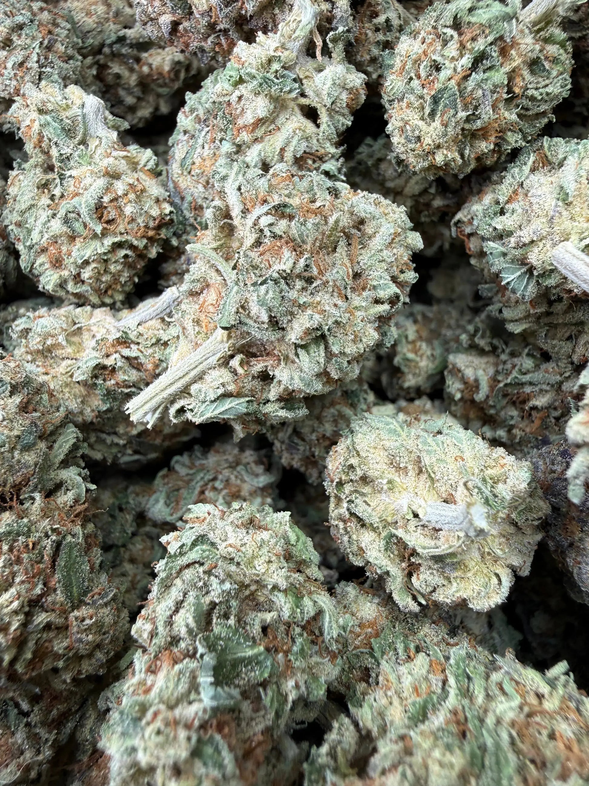 1/4 Pound -   Lemon Cake THCA Strain Frisco Labs