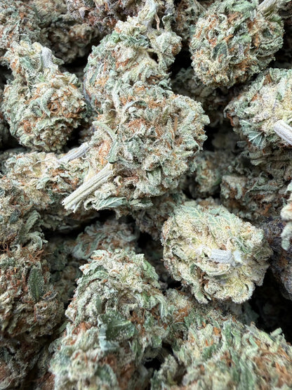 1/4 Pound -   Lemon Cake THCA Strain Frisco Labs