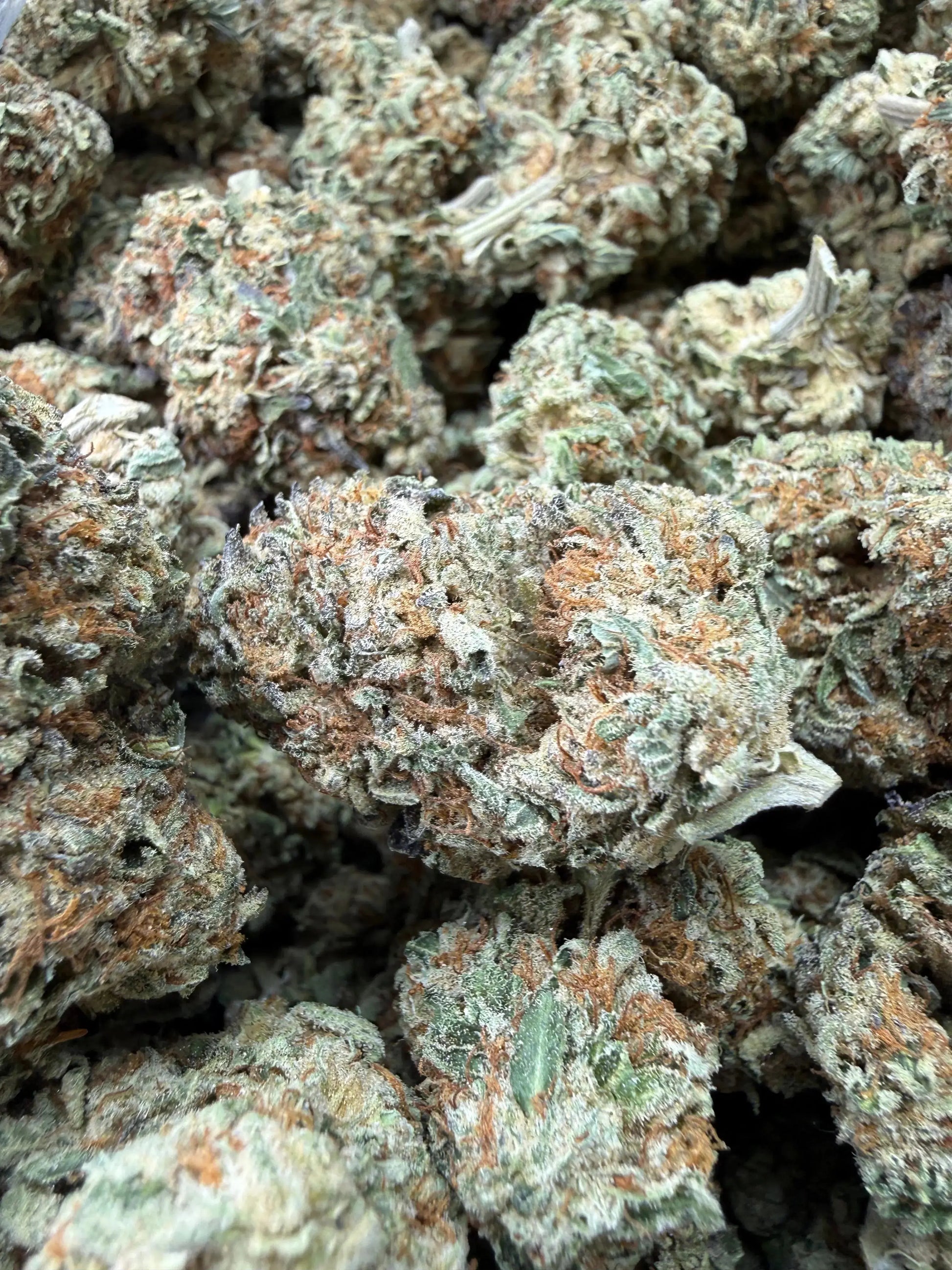1/4 Pound -   Lemon Cake THCA Strain Frisco Labs