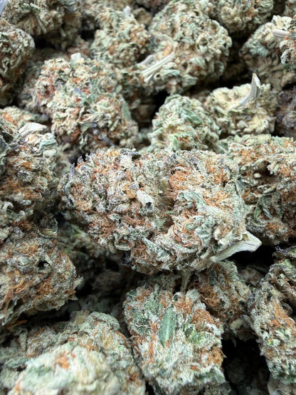 1/4 Pound -   Lemon Cake THCA Strain Frisco Labs