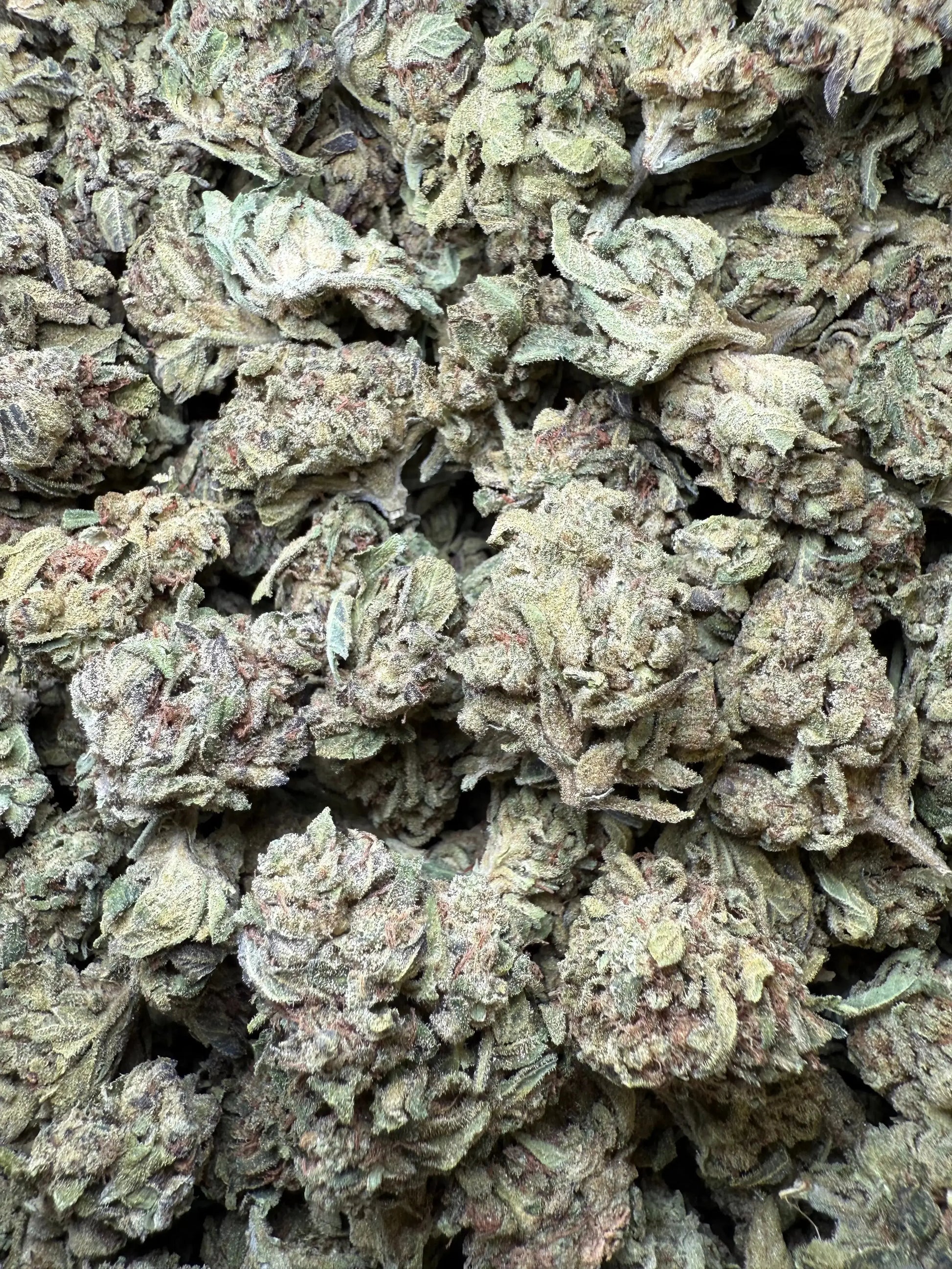 1/4 Pound  Lemon Cherry Gelato X Wedding Cake THCA - FL Fulfillment Center