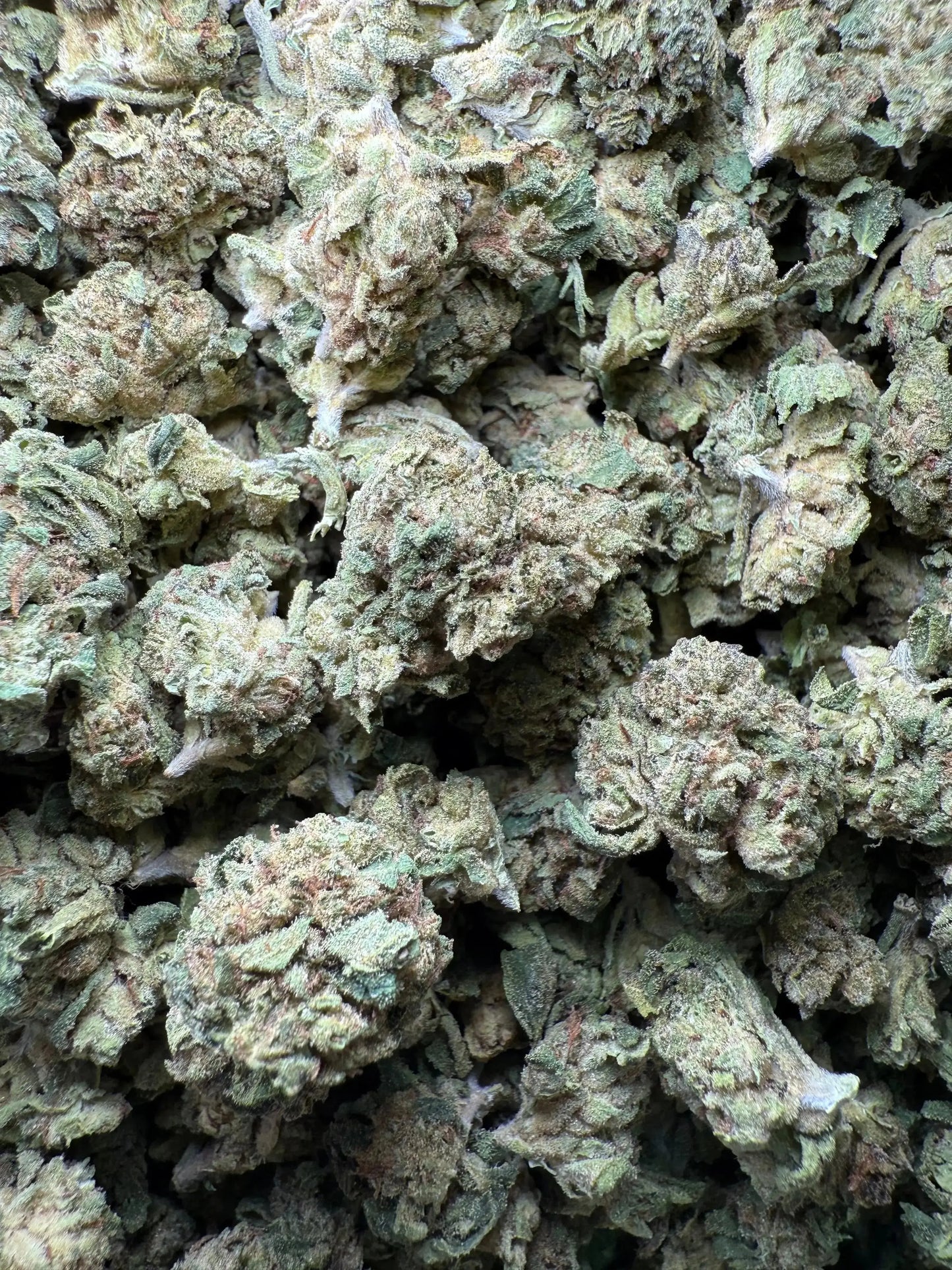 1 Pound Lemon Curd THCA (Smalls) FL Fulfillment Center