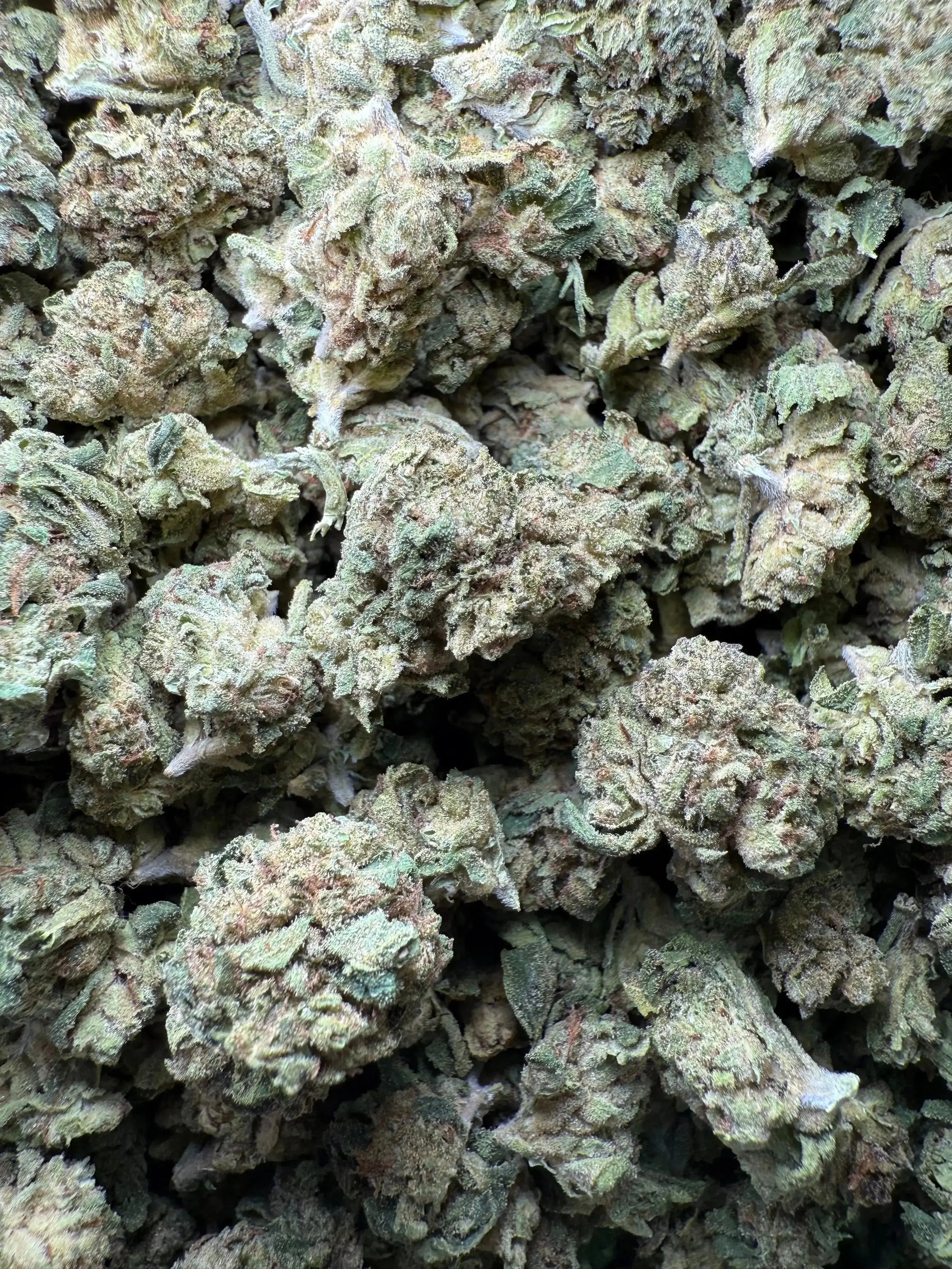 1 Pound Lemon Curd THCA (Smalls) FL Fulfillment Center