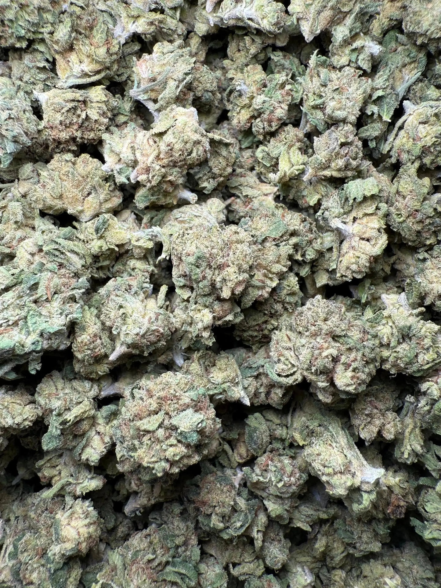 1 Pound Lemon Curd THCA (Smalls) FL Fulfillment Center