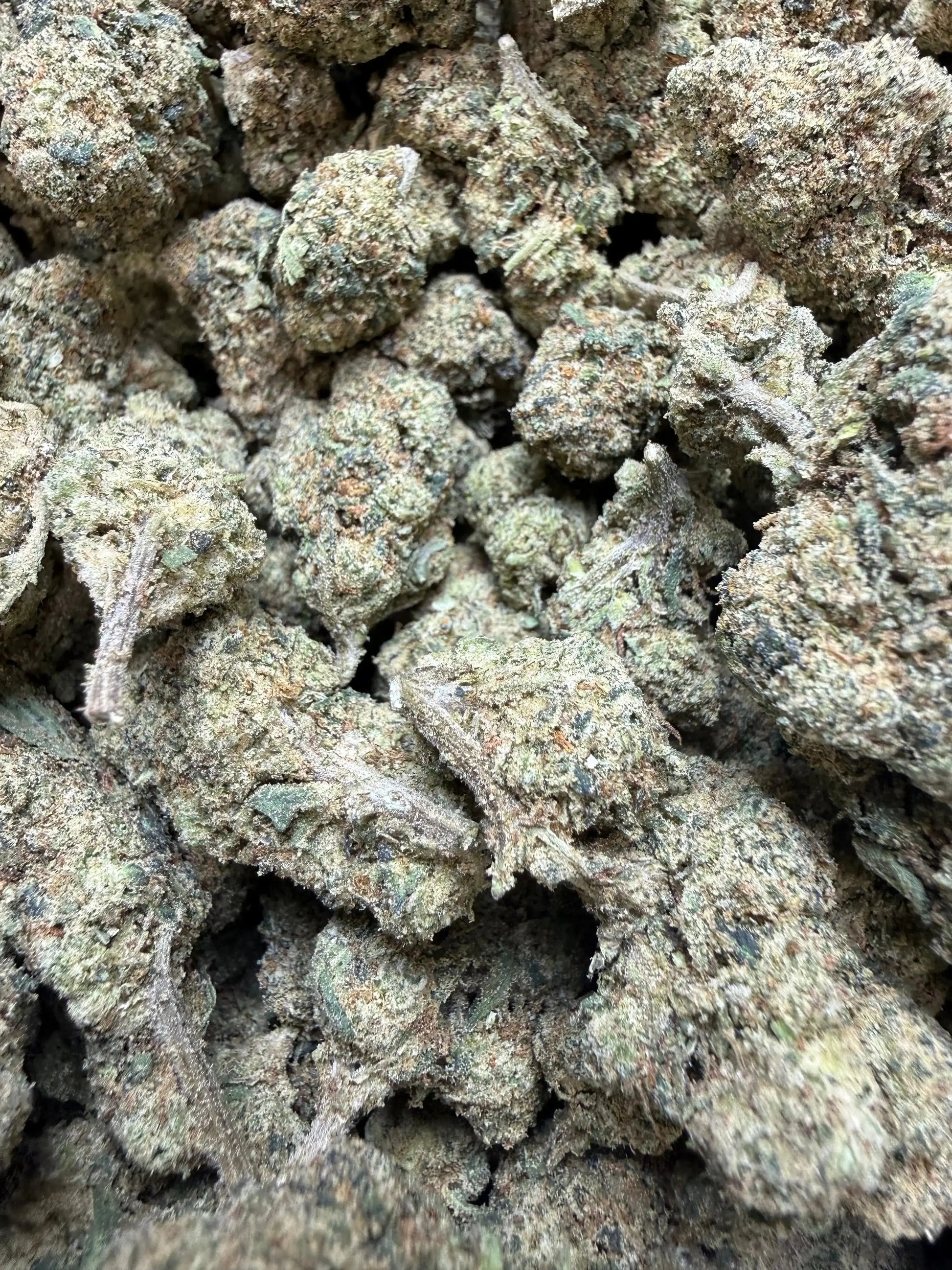 1/4 Pound -  Peanut Butter Souffle THCA Strain Frisco Labs