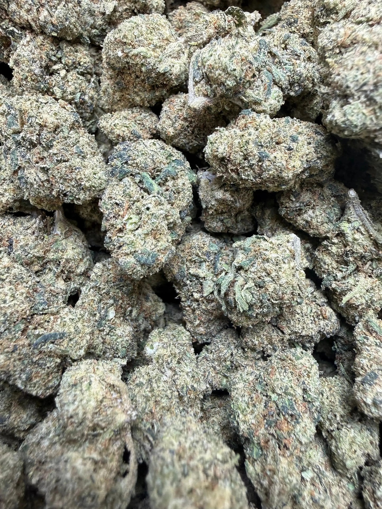1/4 Pound -  Peanut Butter Souffle THCA Strain Frisco Labs