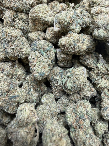 1/4 Pound -  Peanut Butter Souffle THCA Strain Frisco Labs