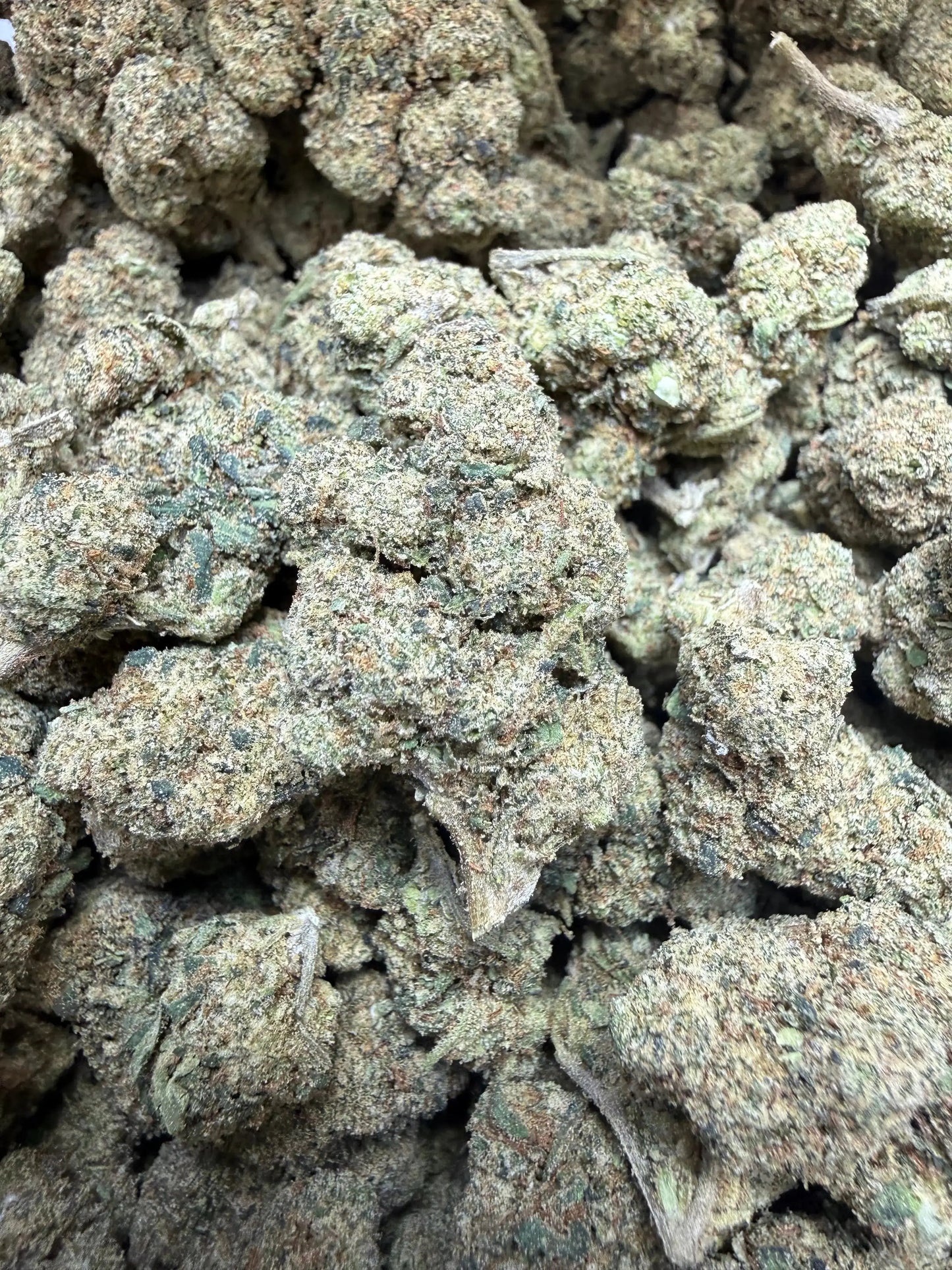 1/4 Pound -  Peanut Butter Souffle THCA Strain Frisco Labs